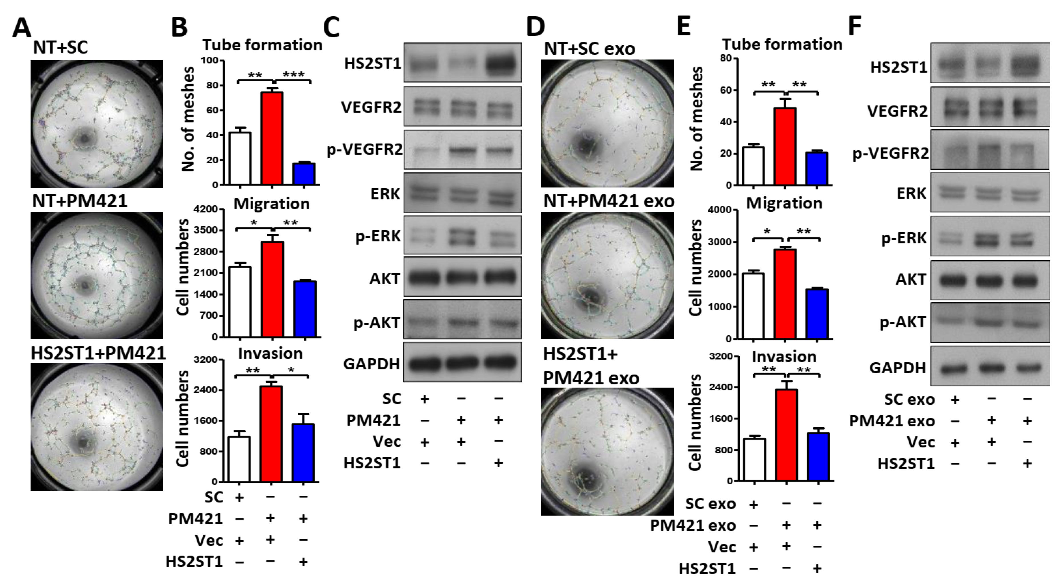 Preprints 106641 g005