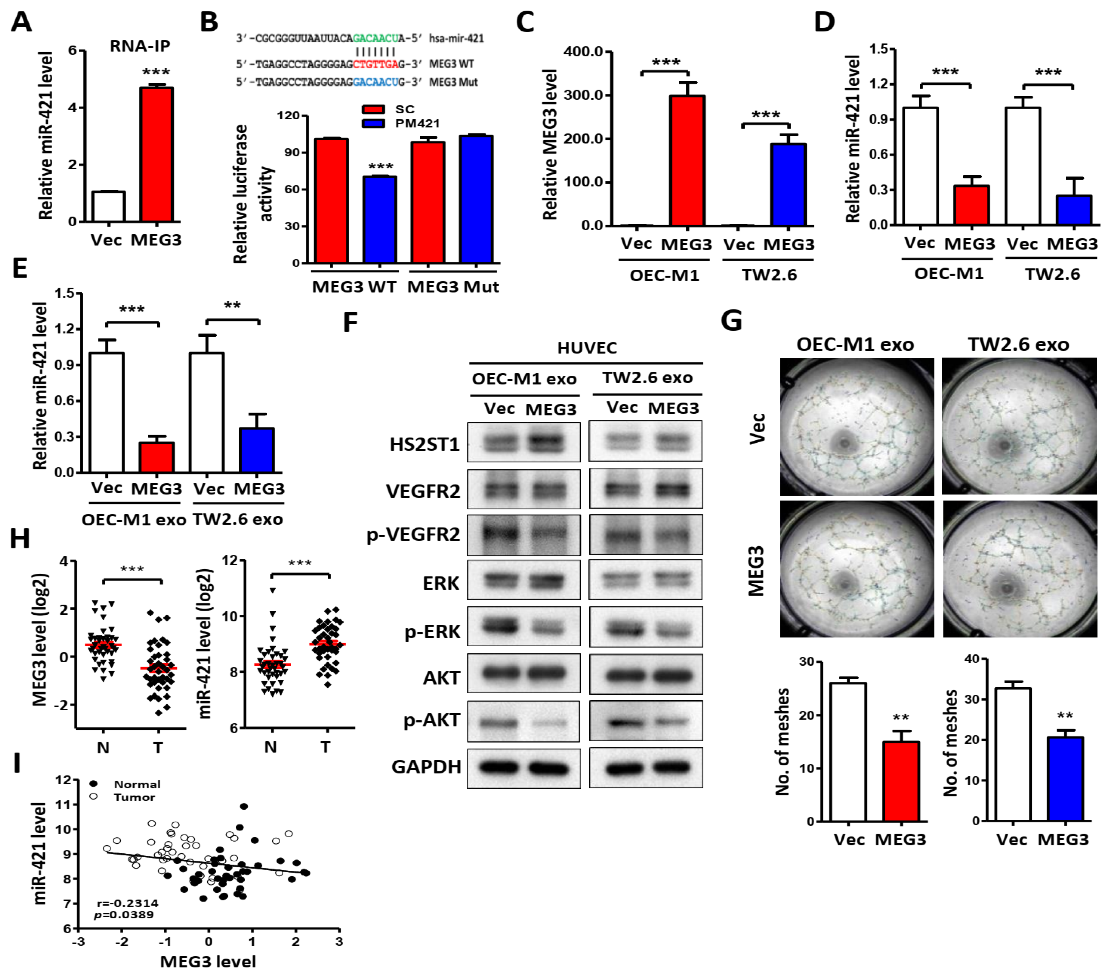 Preprints 106641 g006