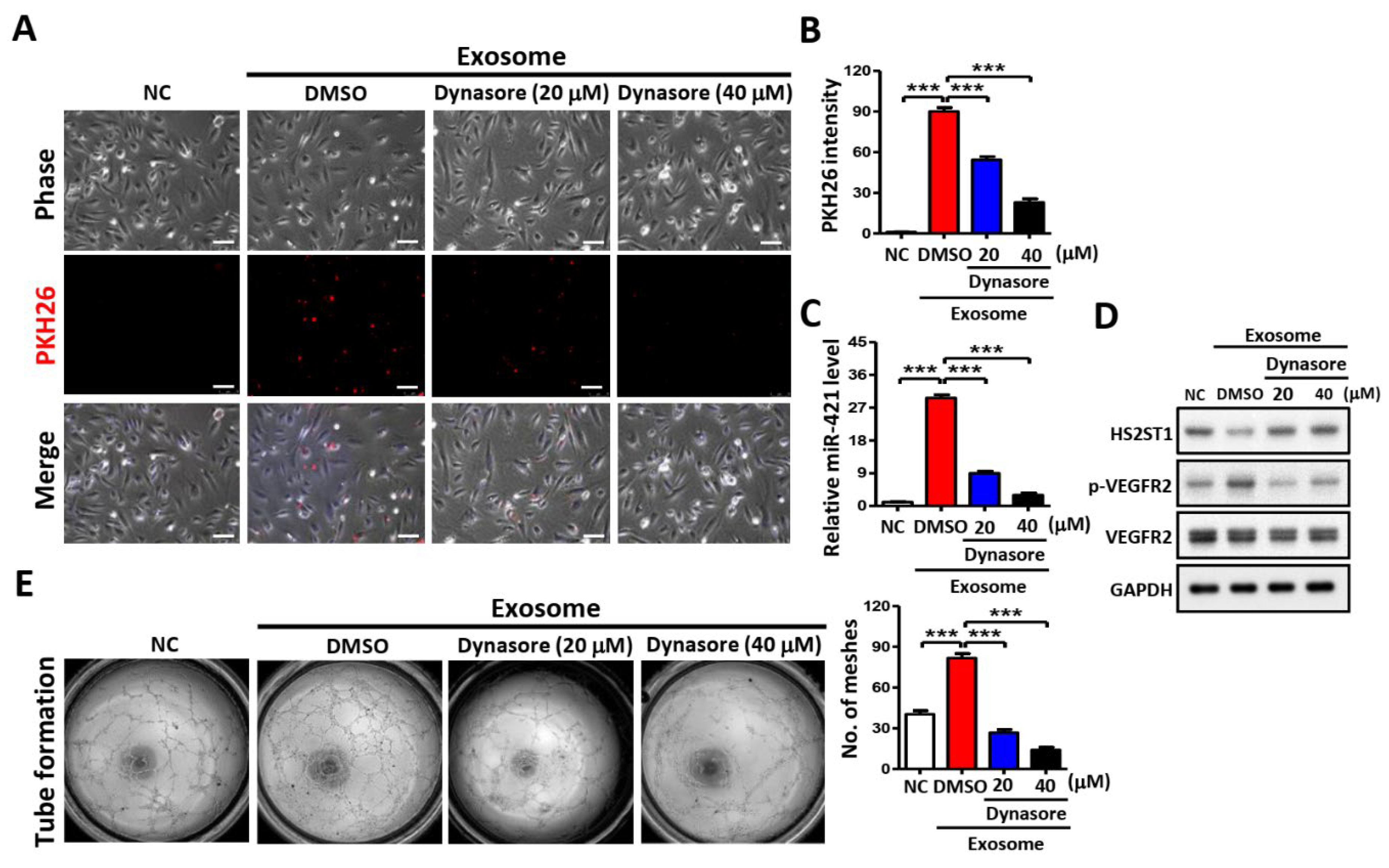 Preprints 106641 g007