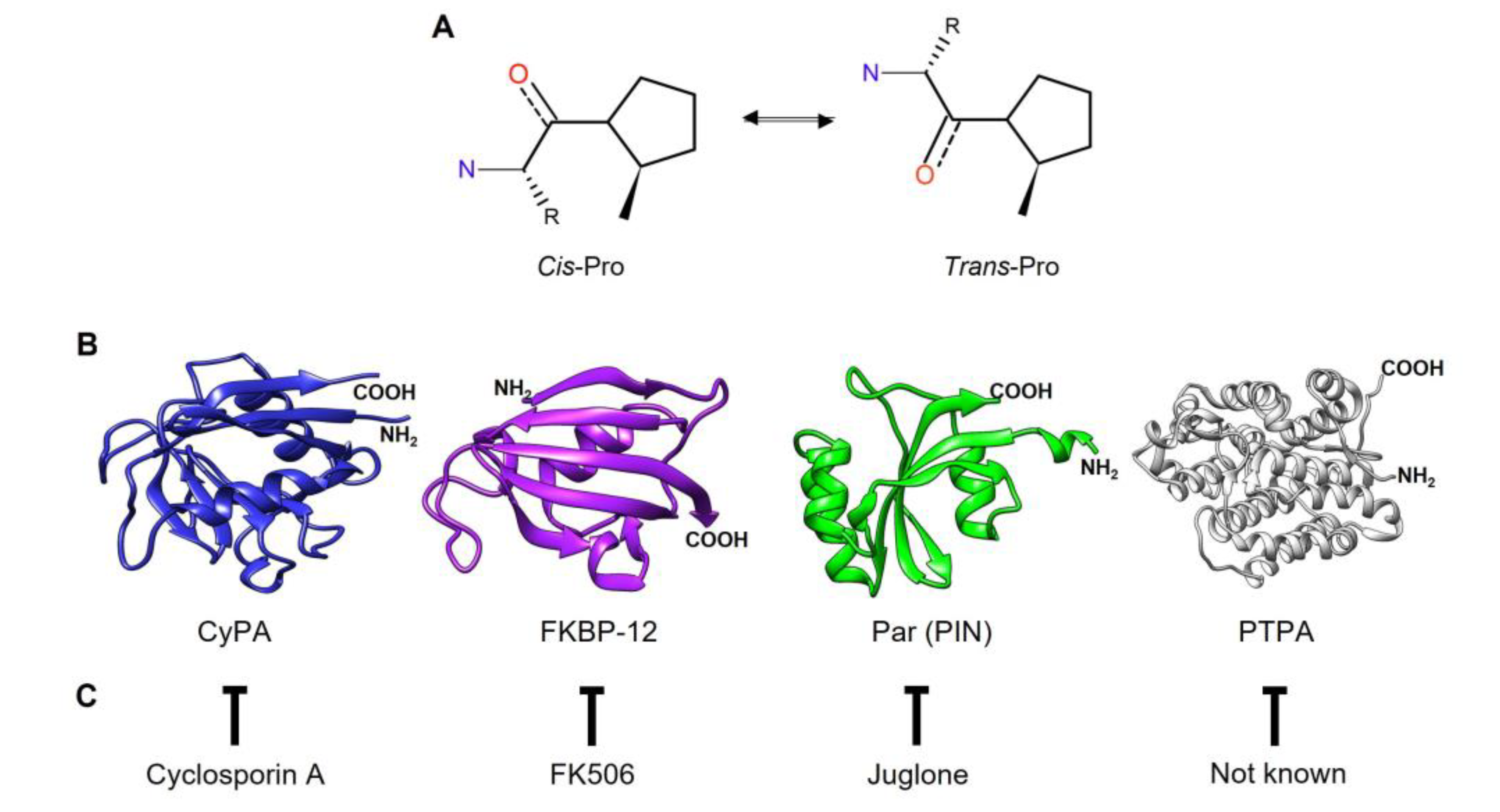 Preprints 108941 g001