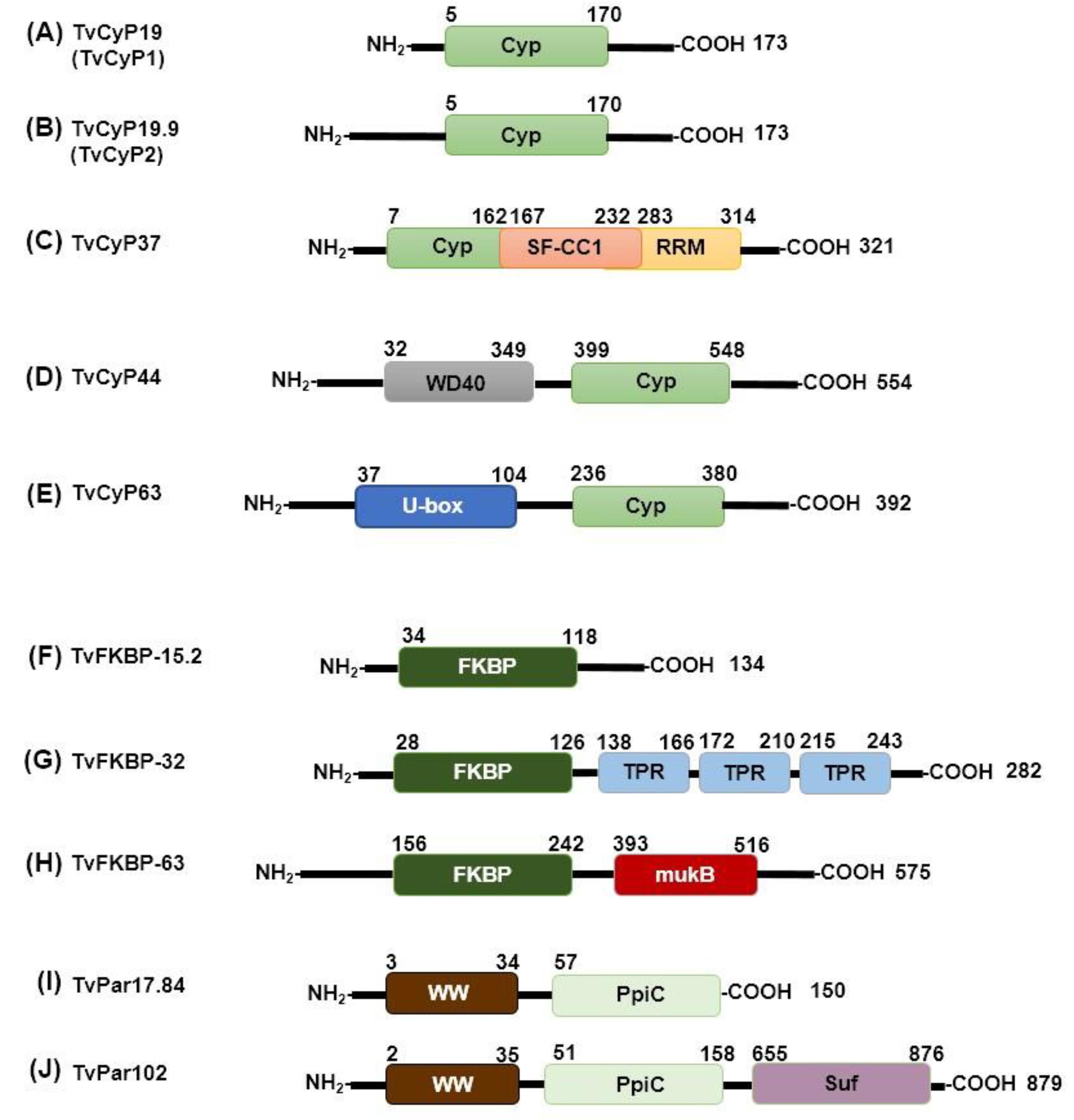 Preprints 108941 g002