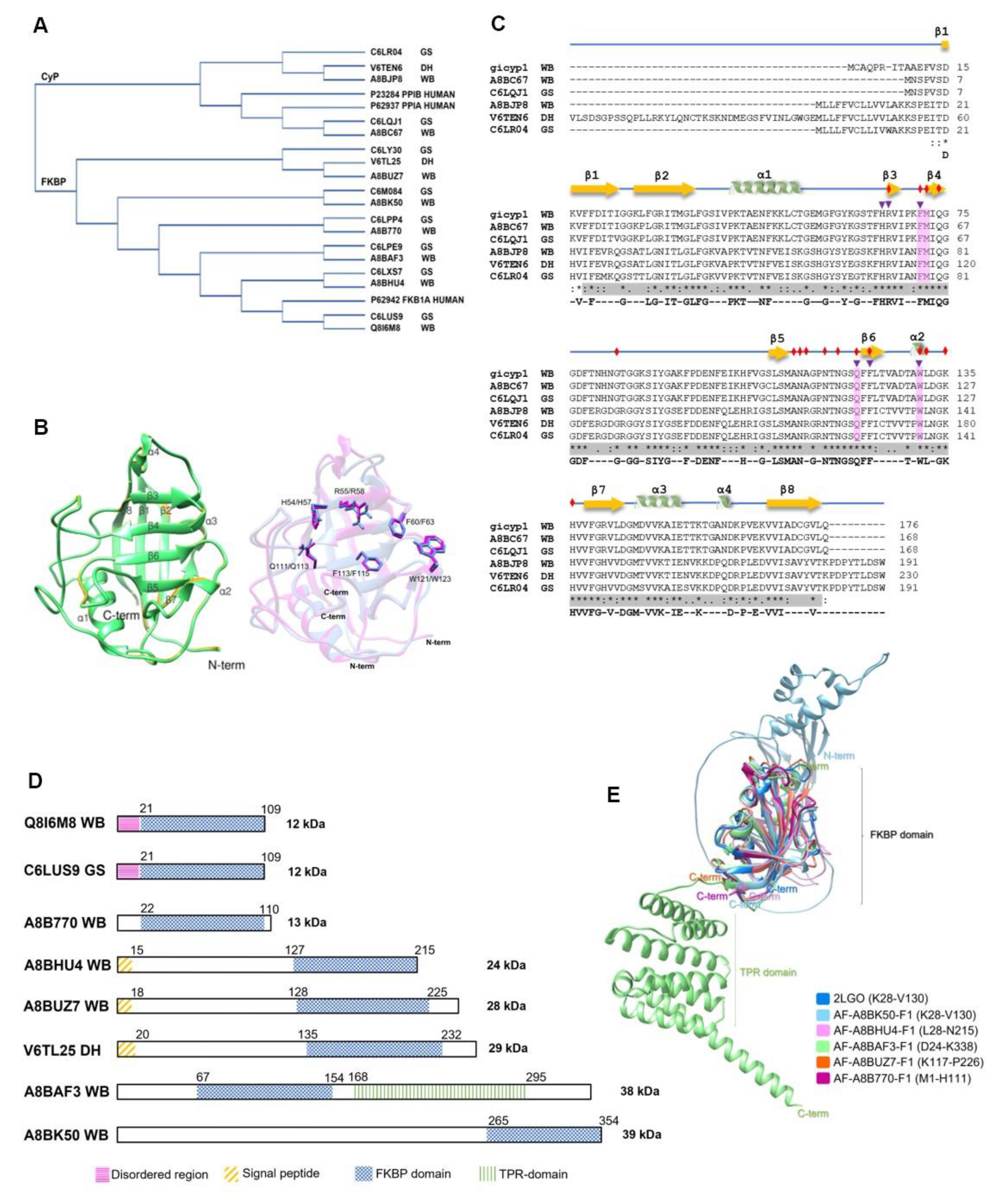 Preprints 108941 g003