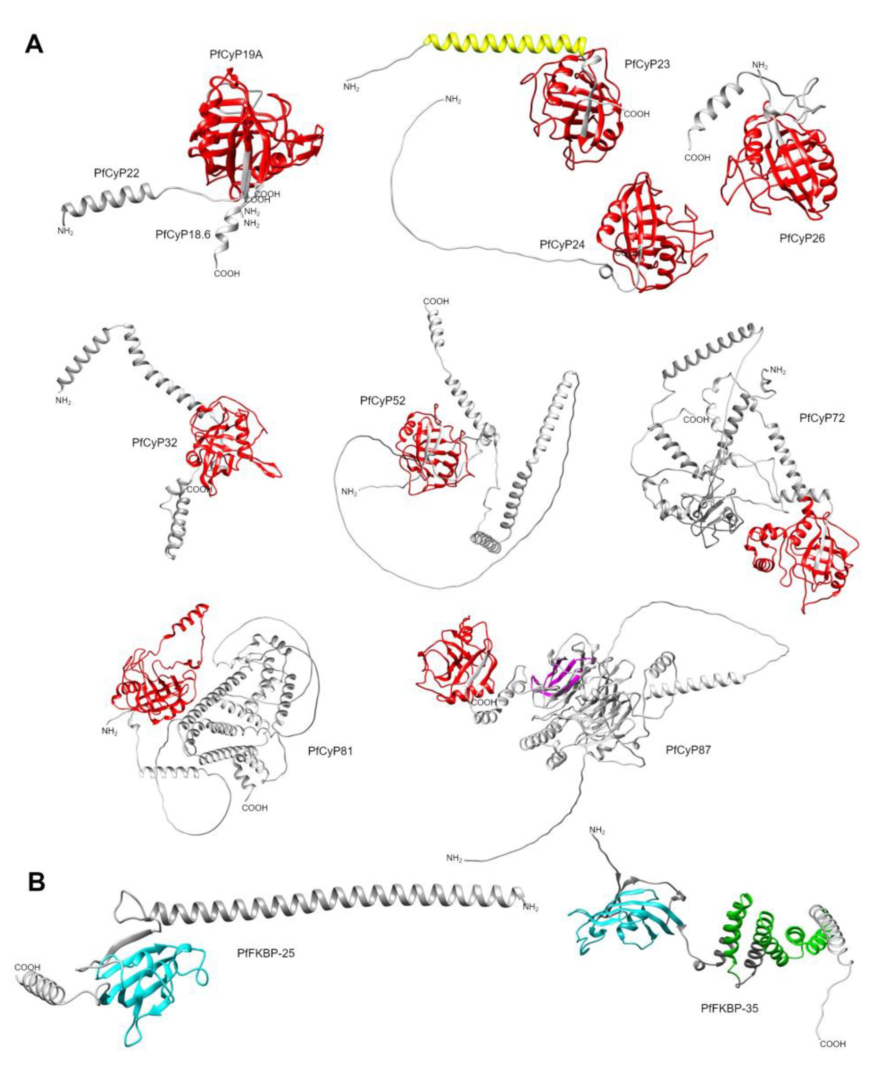 Preprints 108941 g004