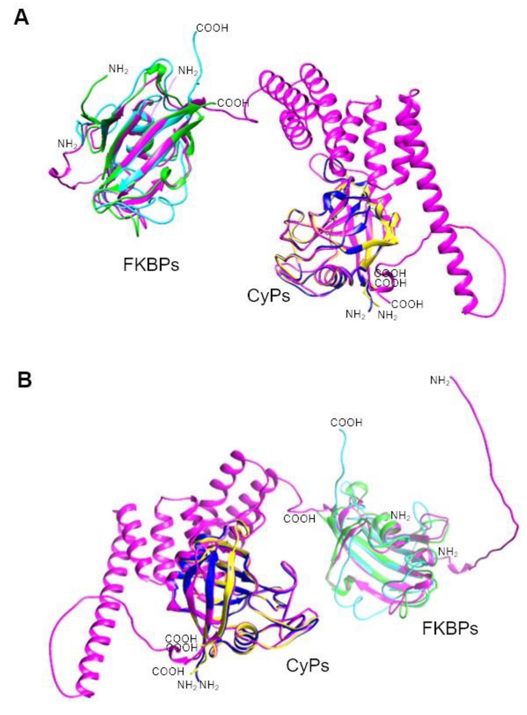 Preprints 108941 g005