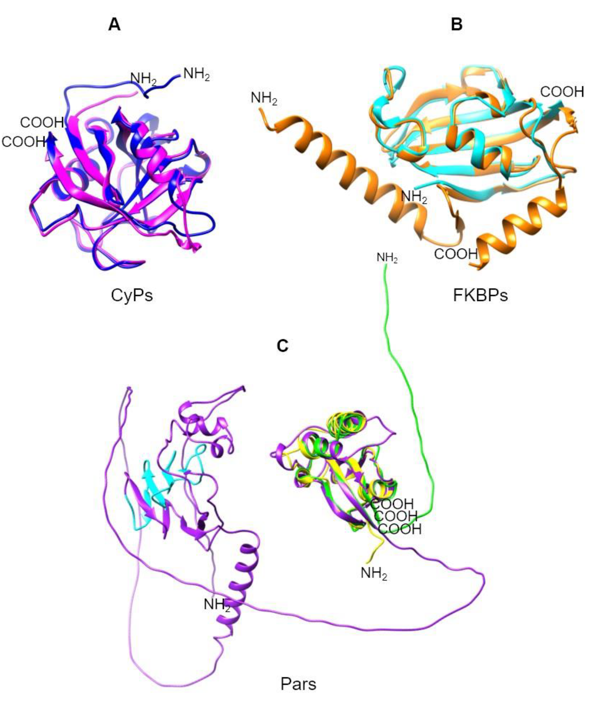 Preprints 108941 g006