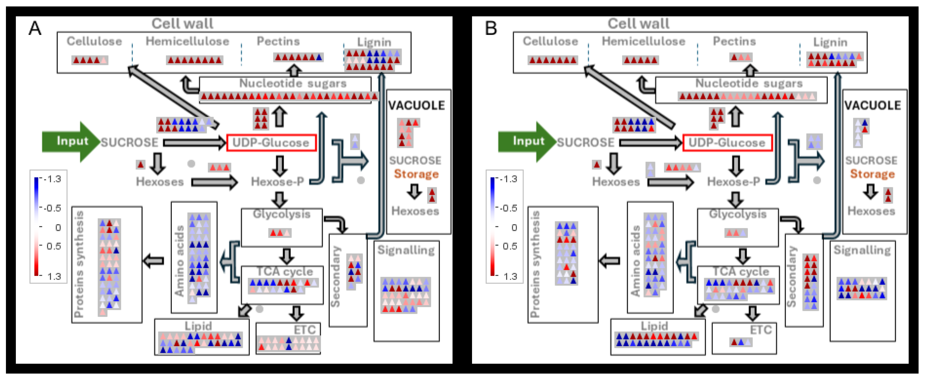 Preprints 108147 g008