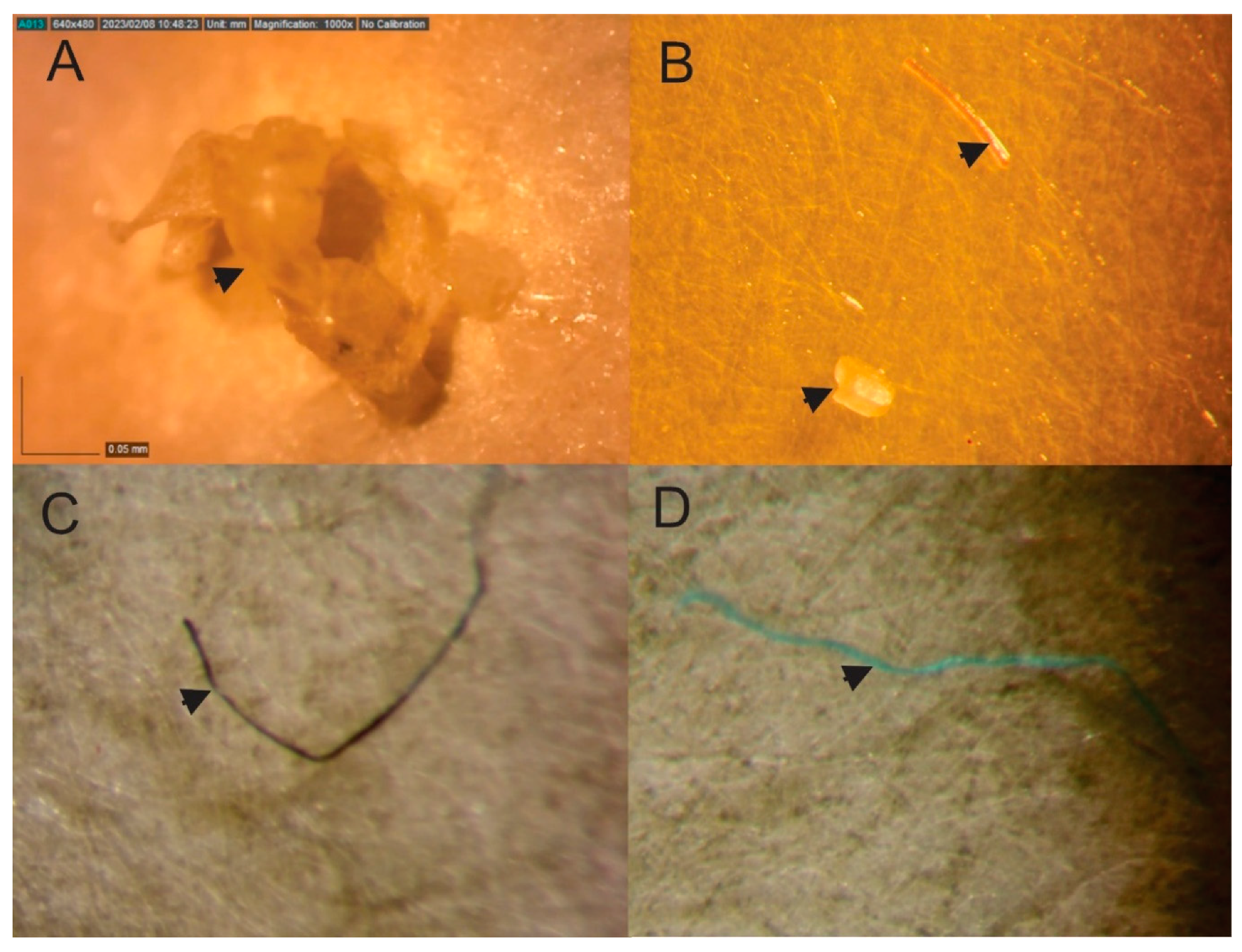 Preprints 83211 g001