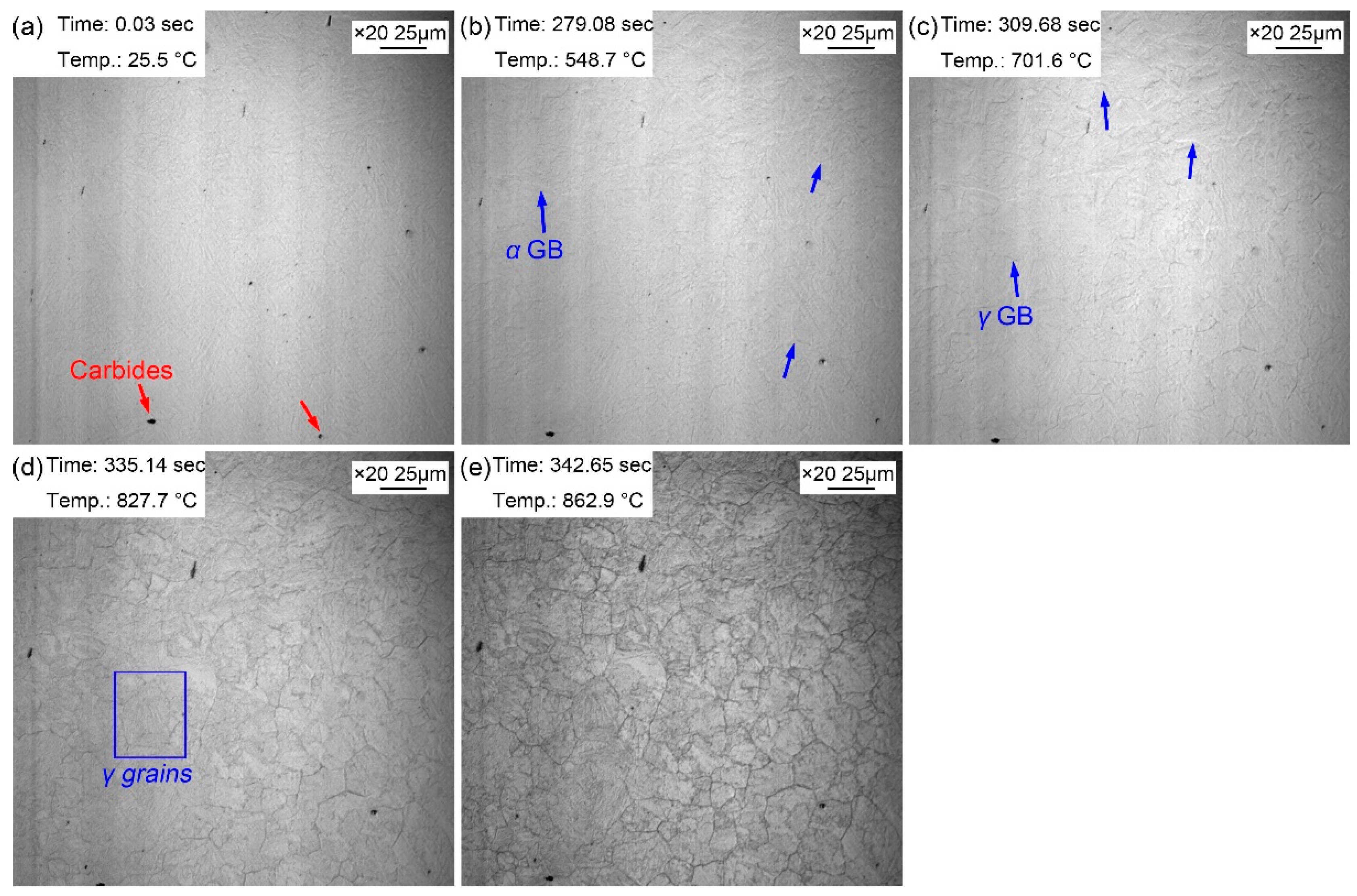 Preprints 71809 g002