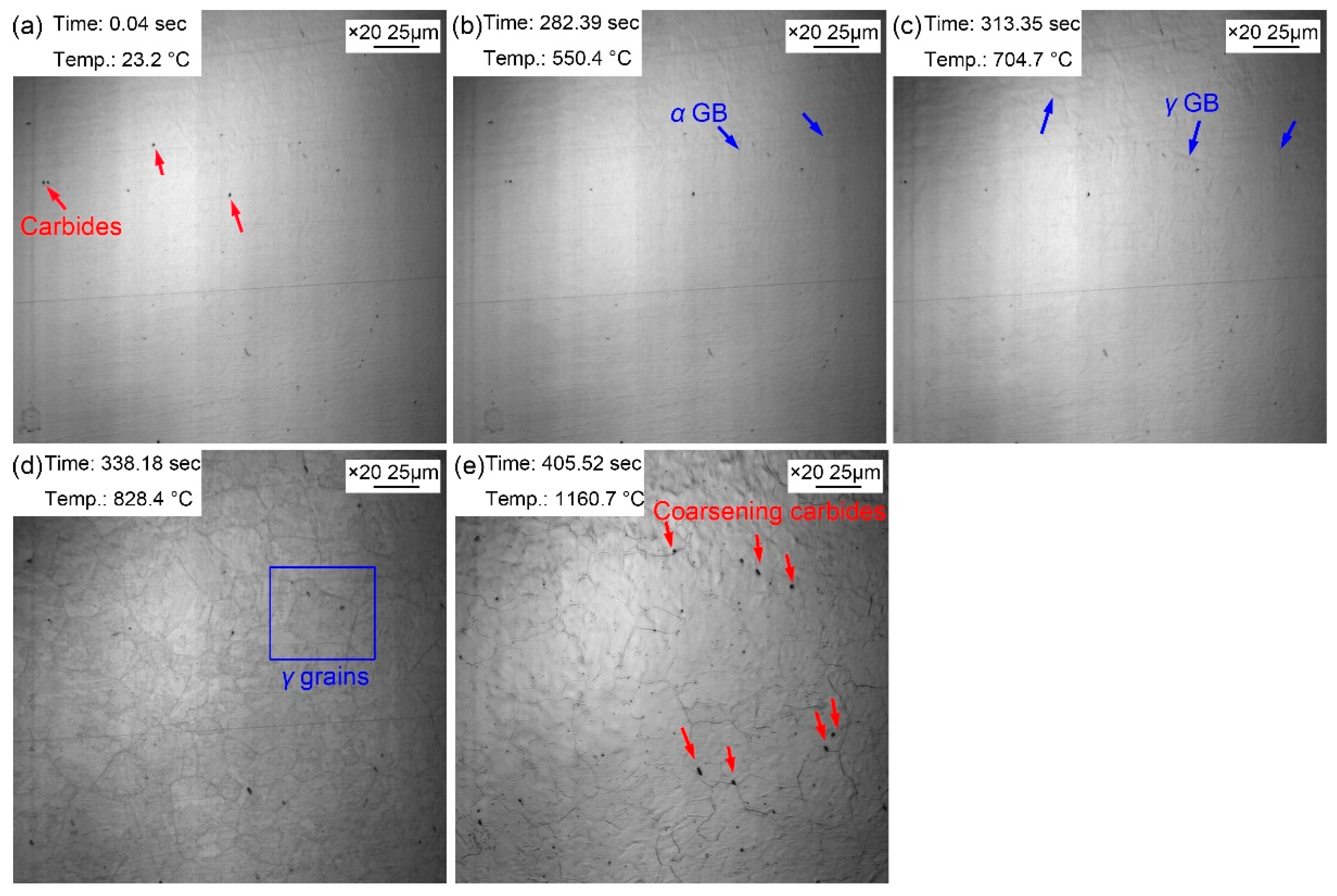 Preprints 71809 g003