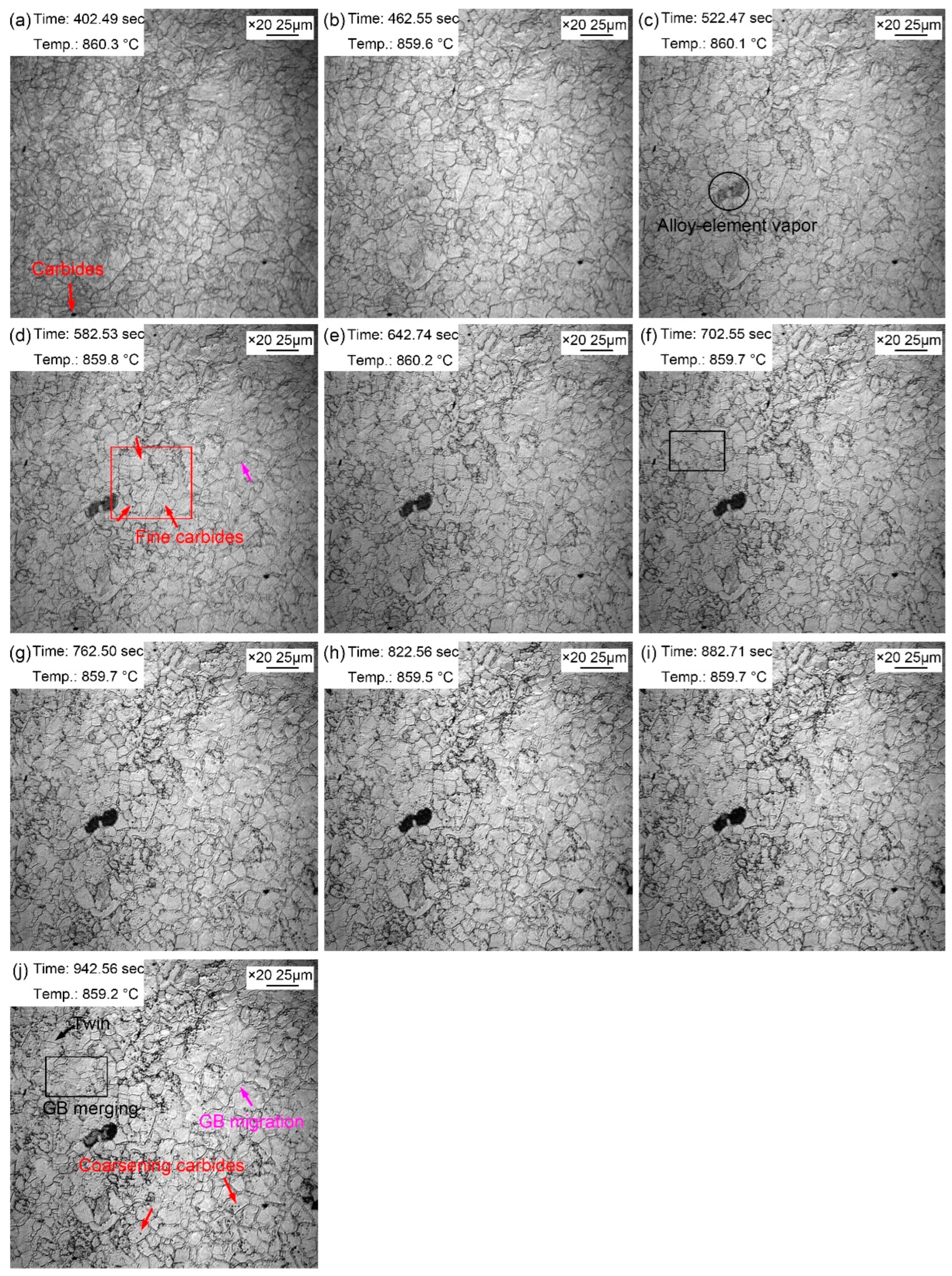 Preprints 71809 g004