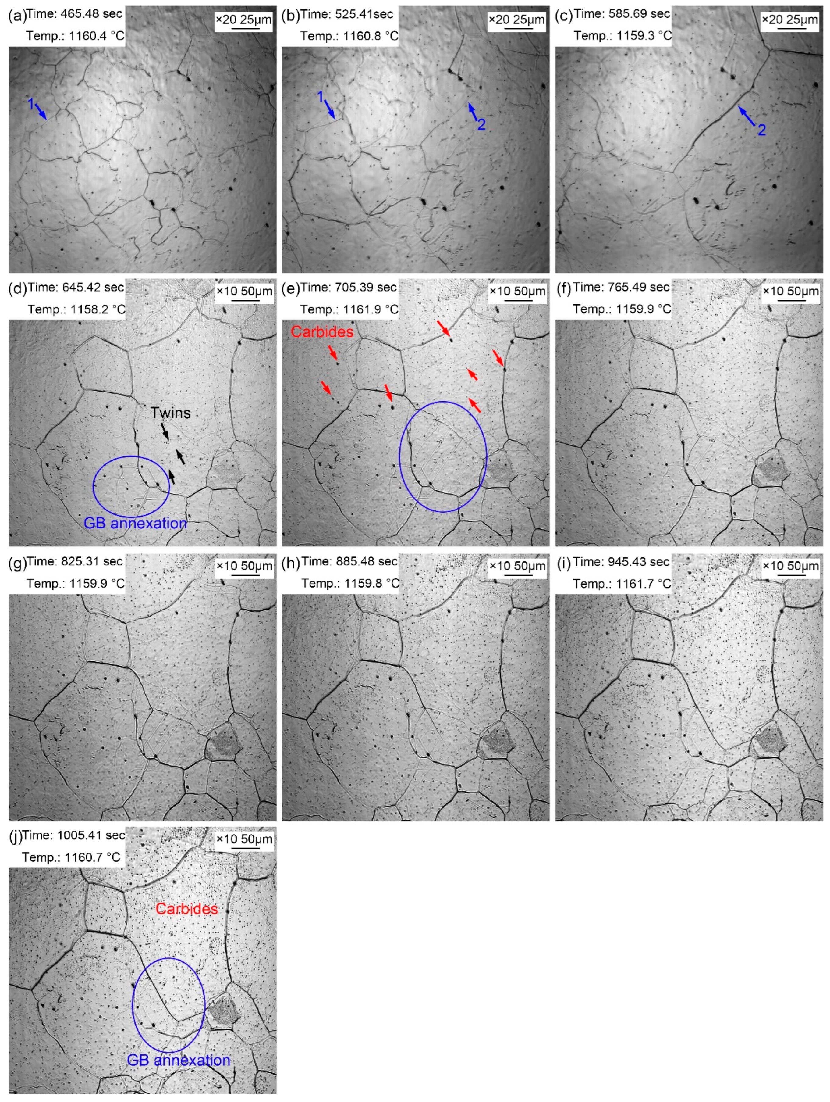 Preprints 71809 g006