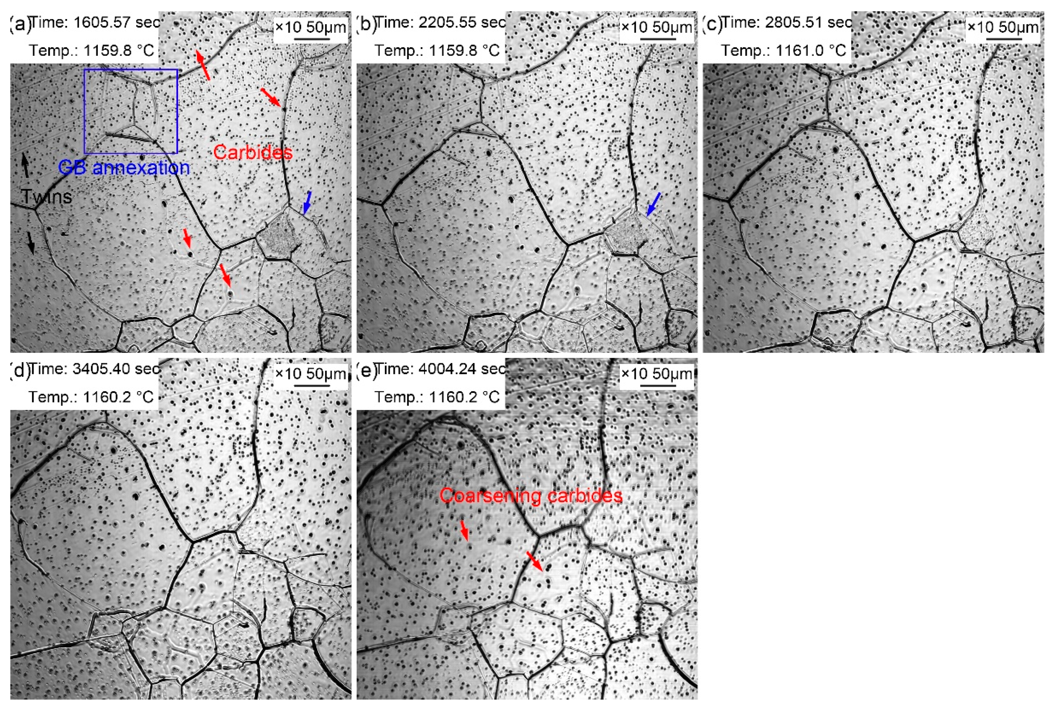 Preprints 71809 g007