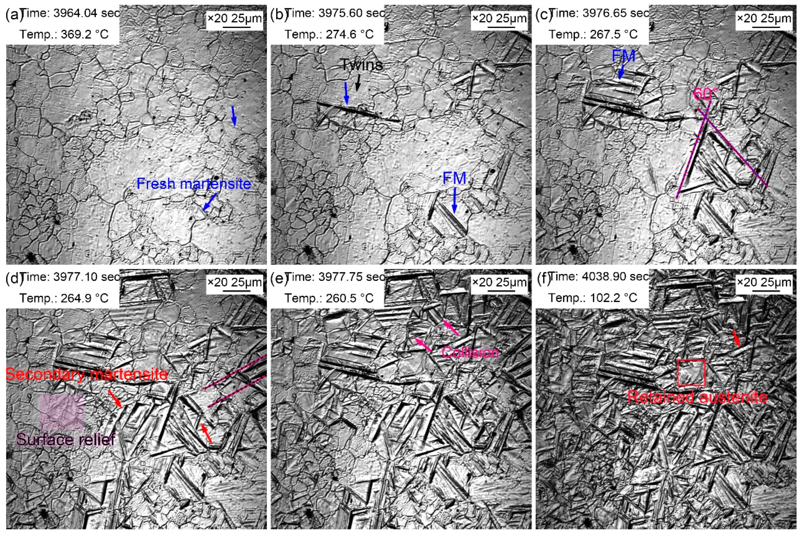 Preprints 71809 g009