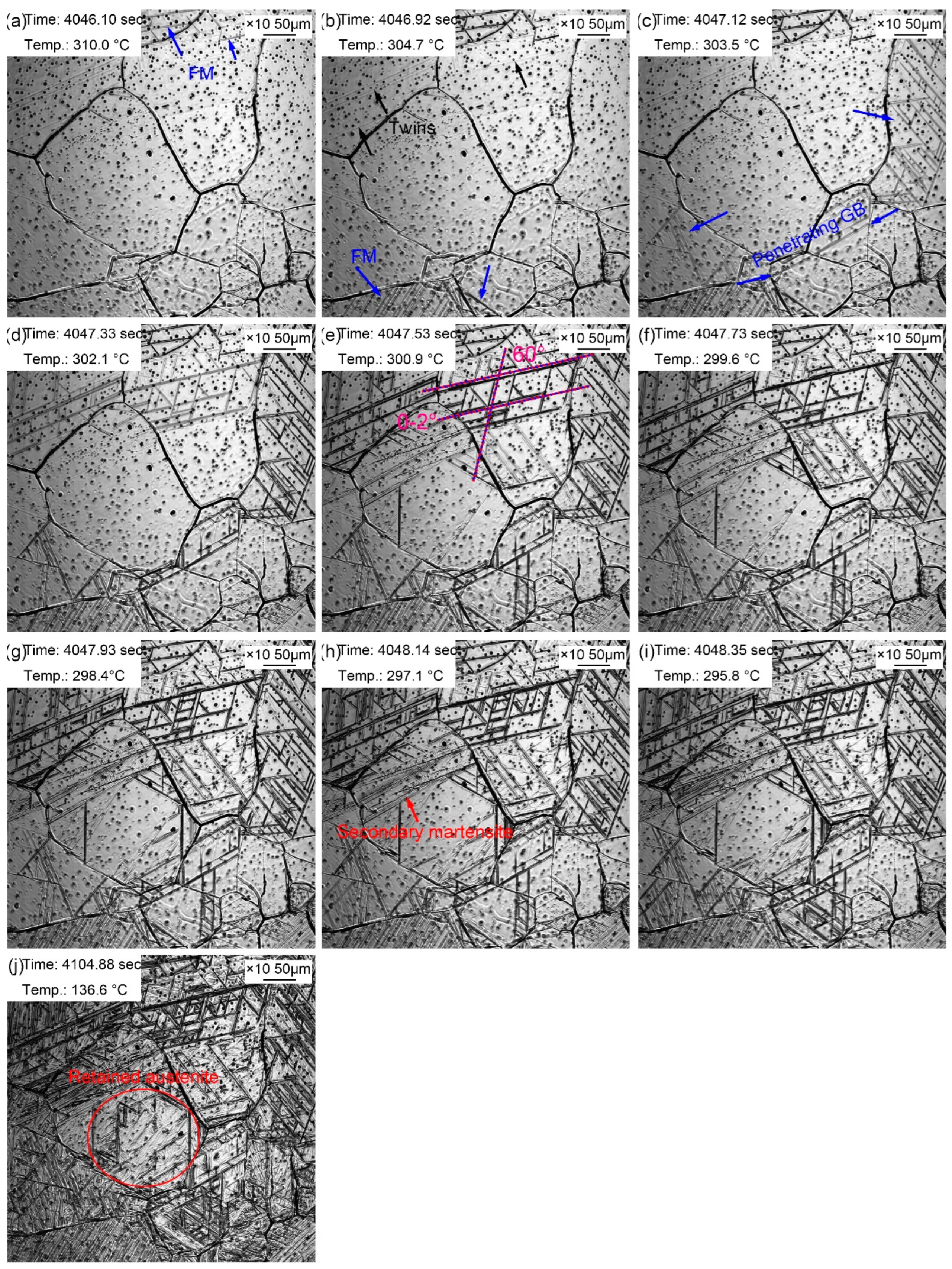 Preprints 71809 g010