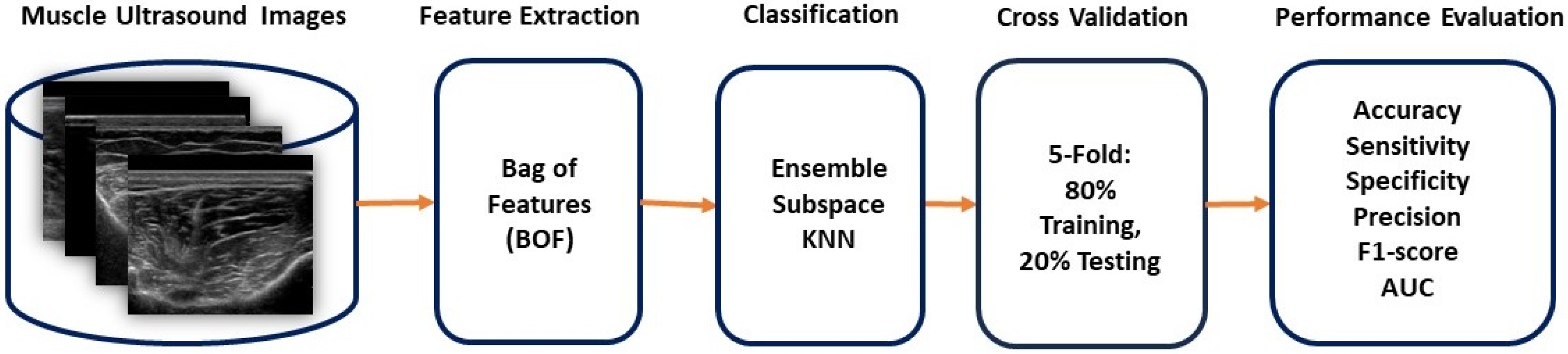 Preprints 117848 g001