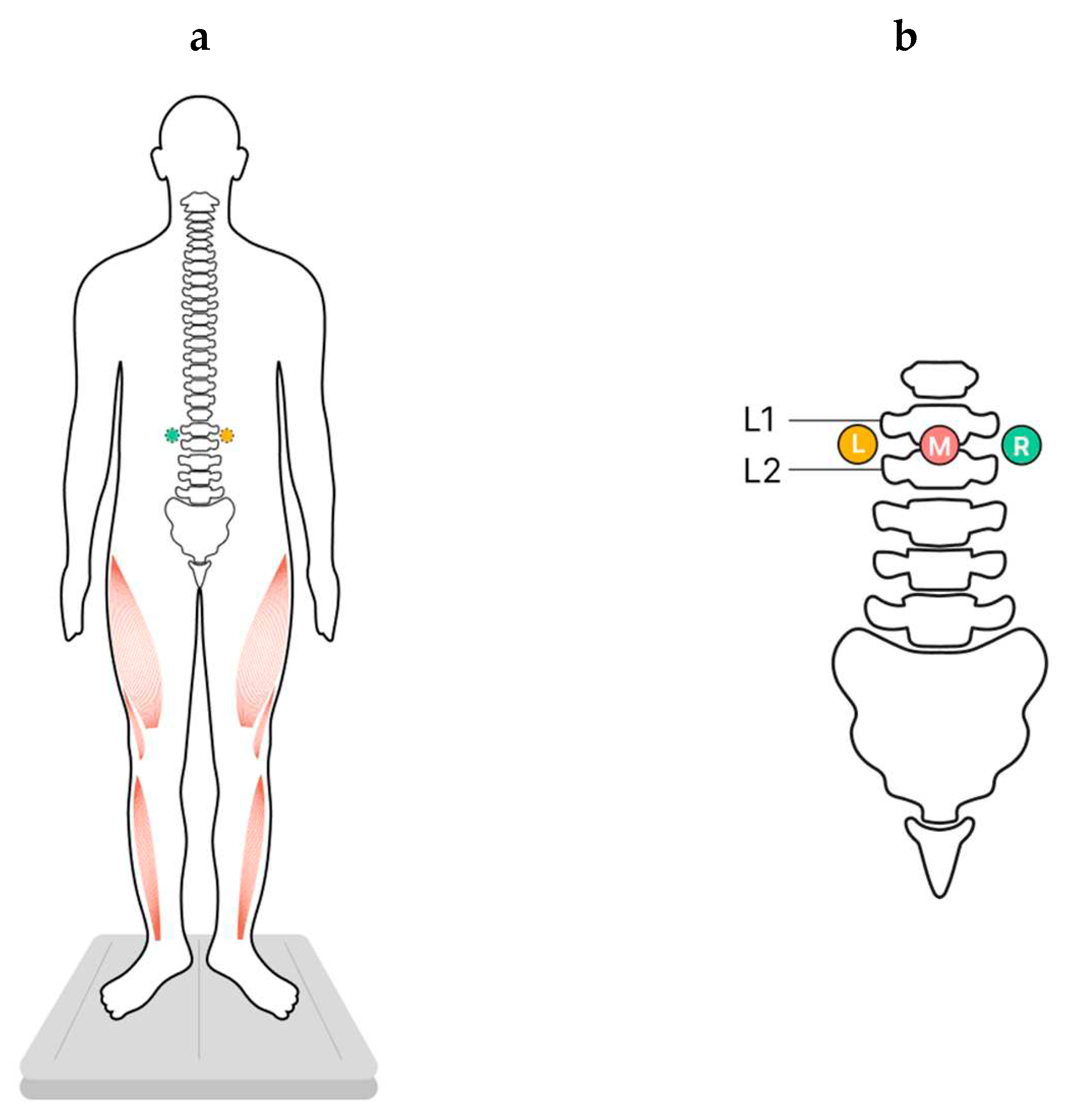 Preprints 81914 g001