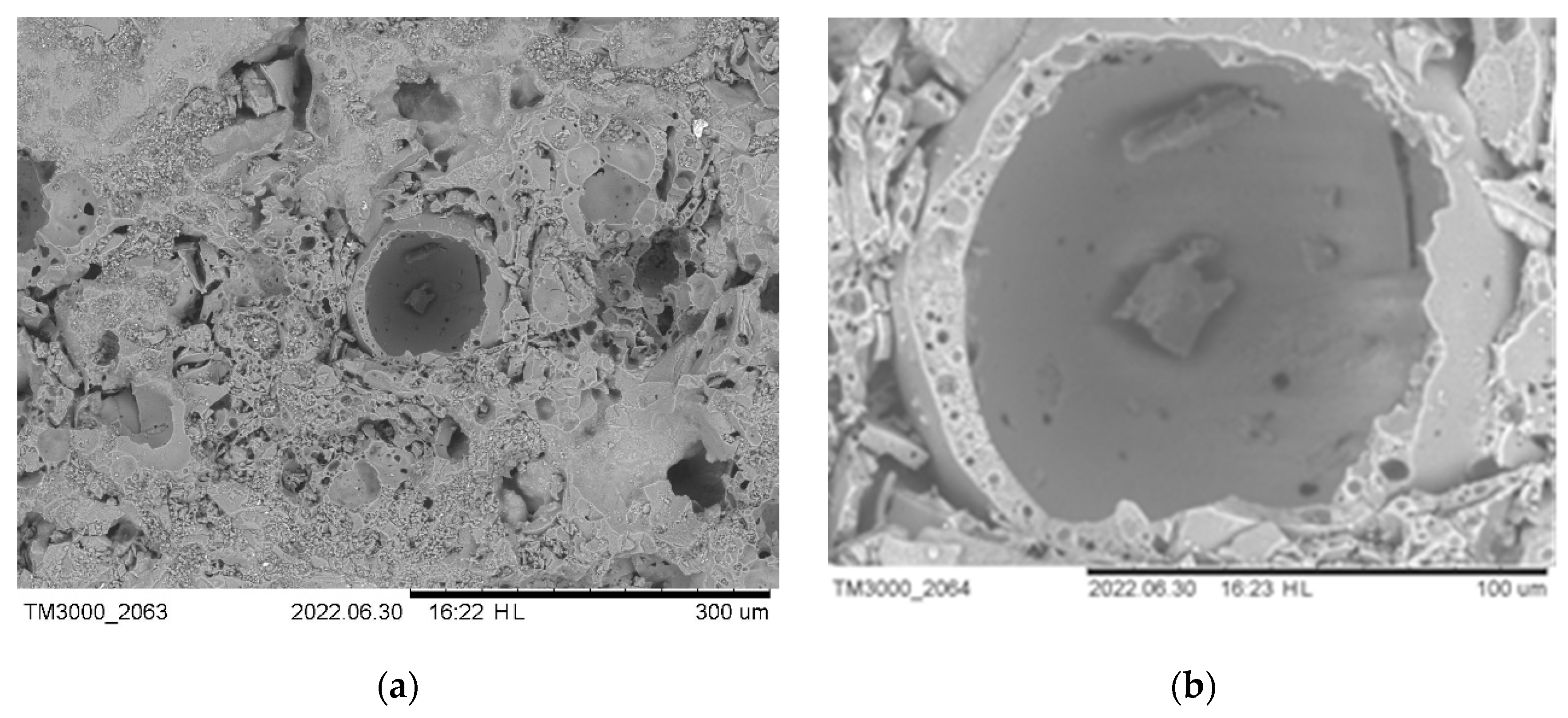 Preprints 89491 g017