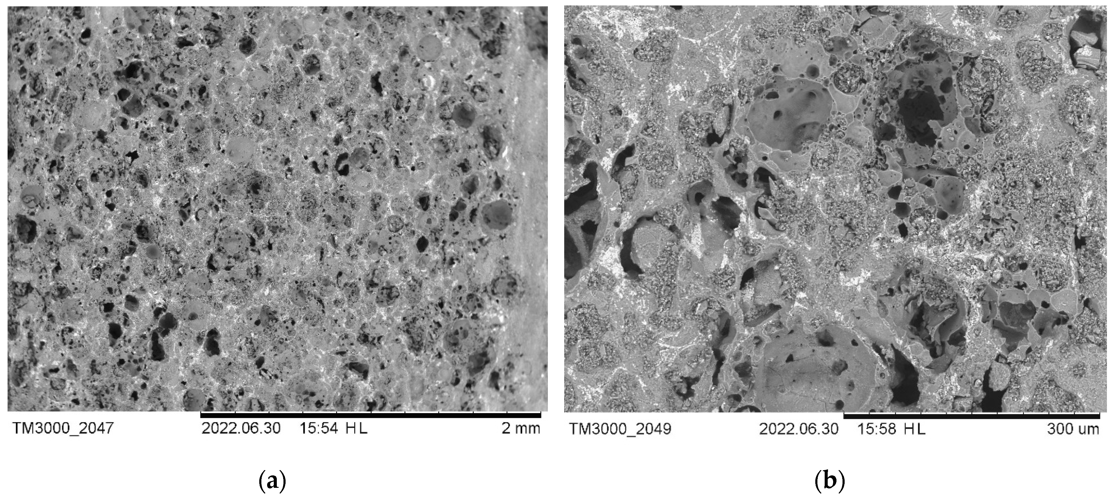 Preprints 89491 g018