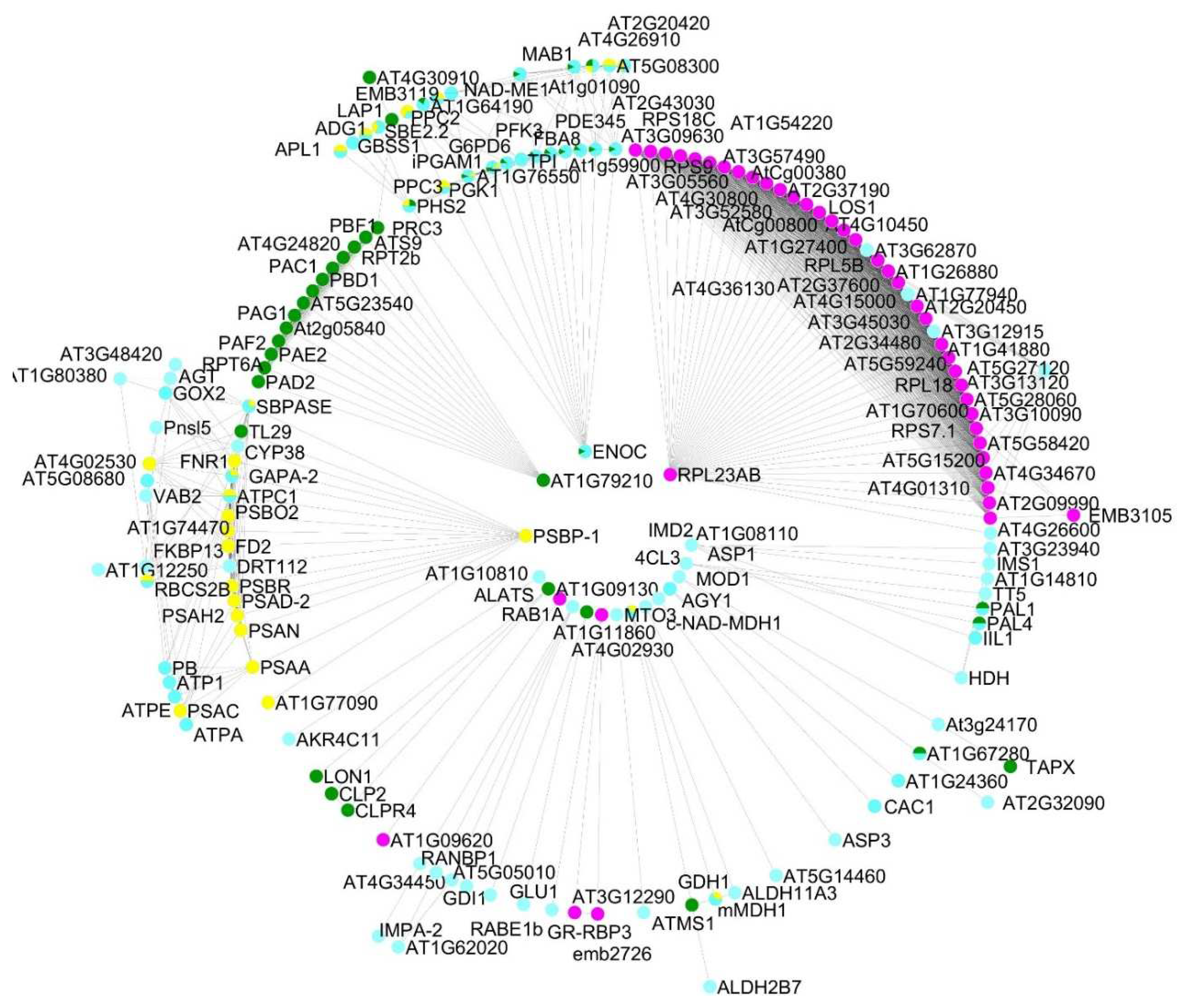 Preprints 77660 g001