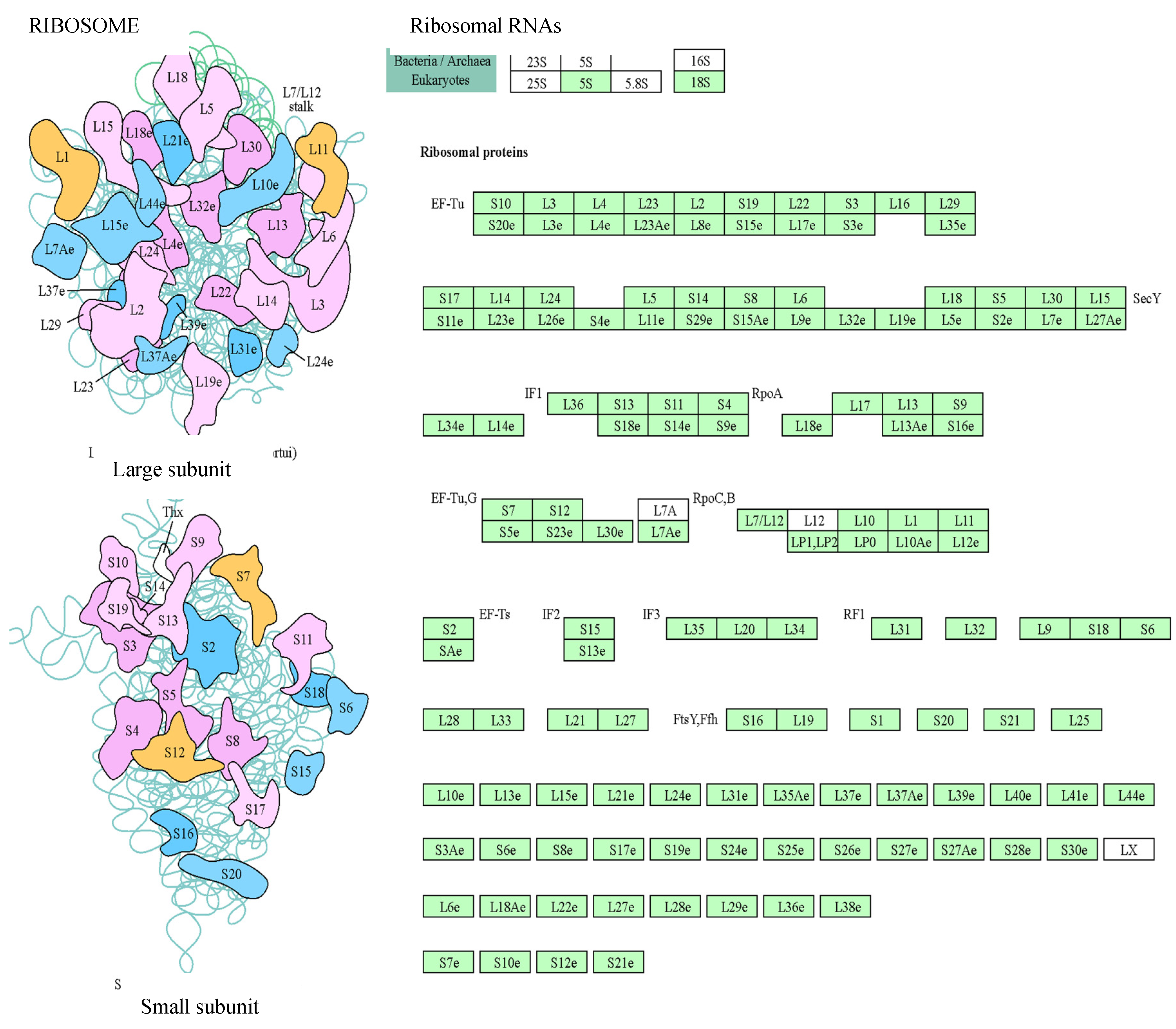 Preprints 77660 g003