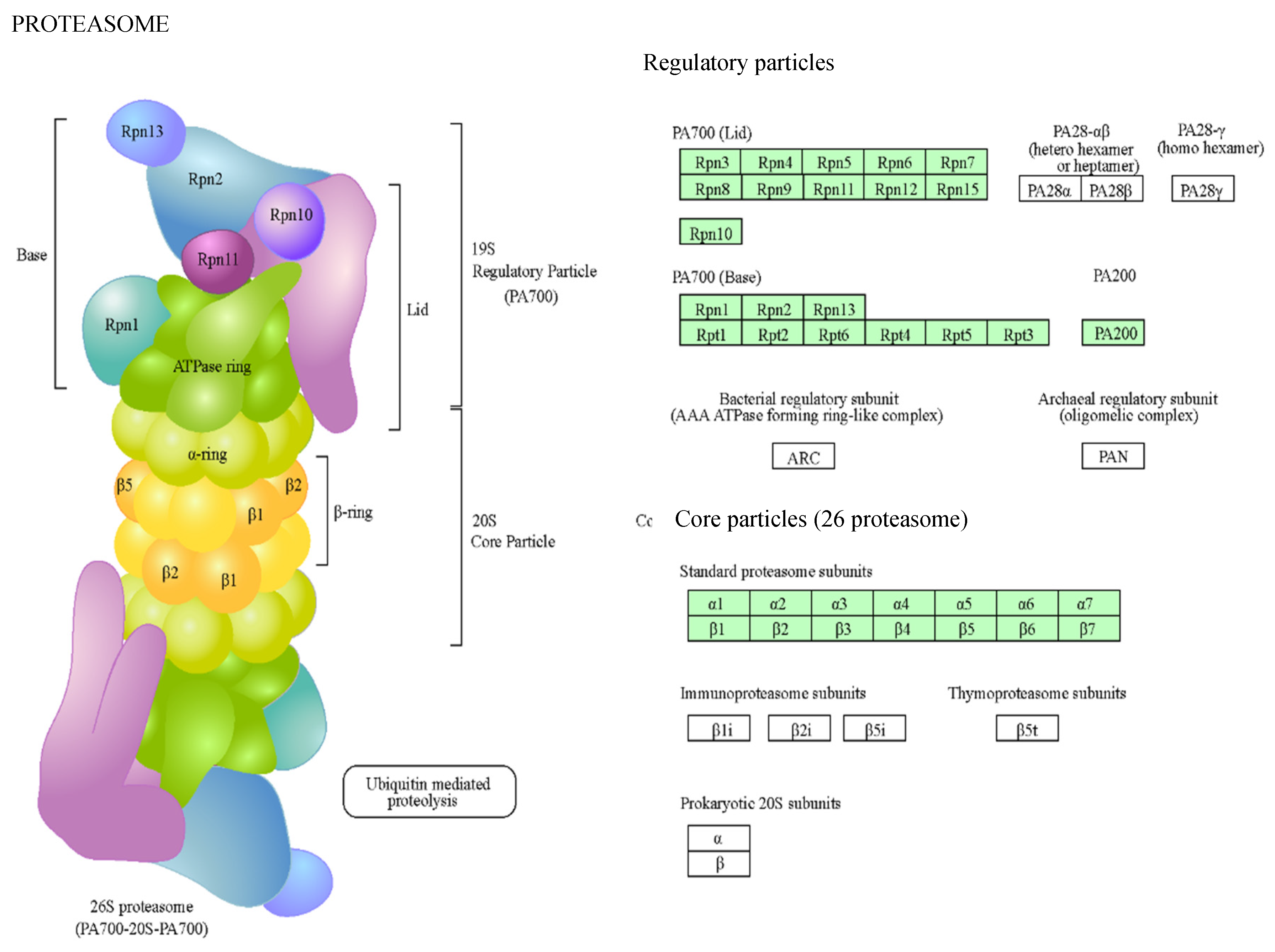 Preprints 77660 g004