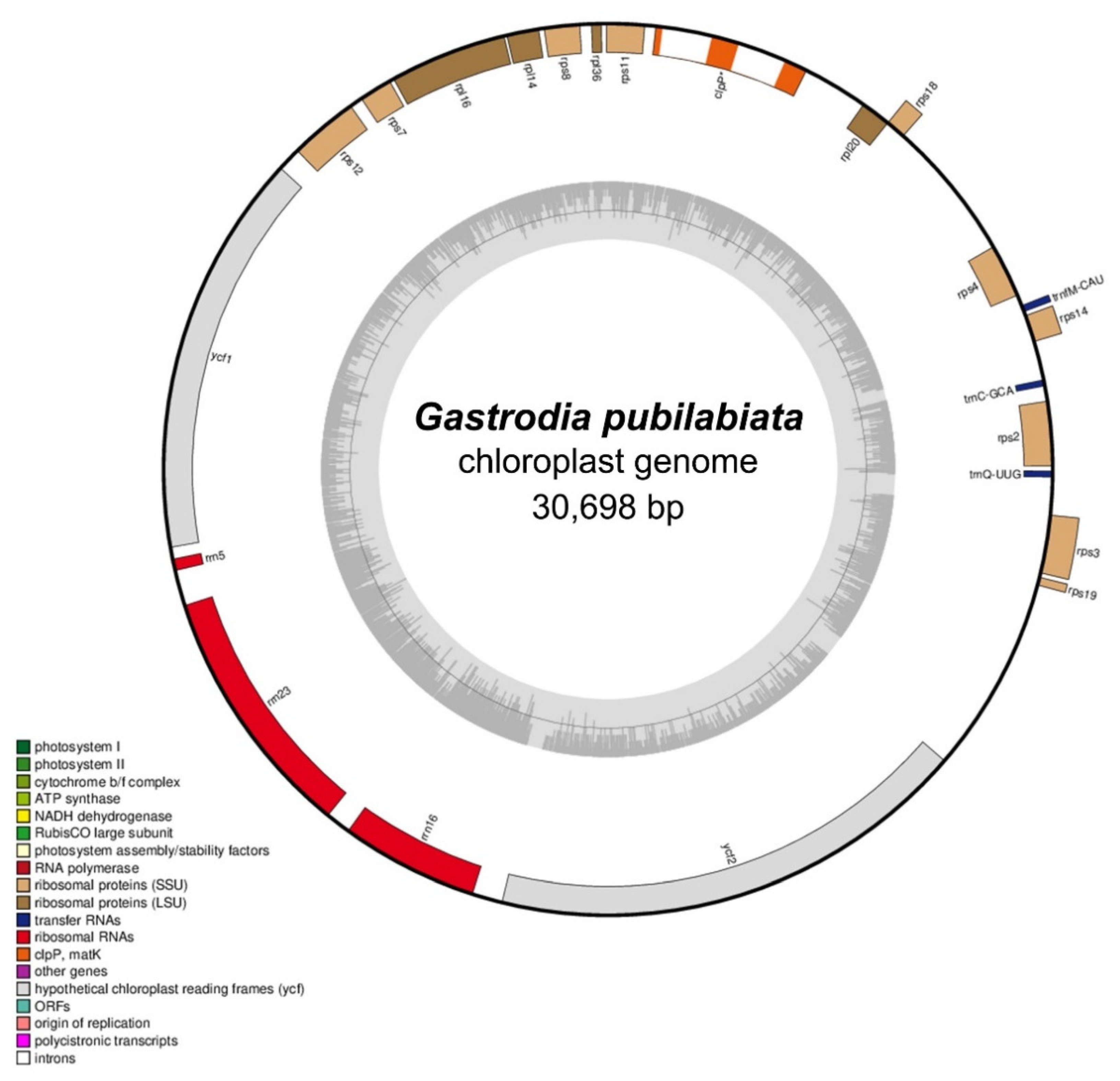 Preprints 78084 g001