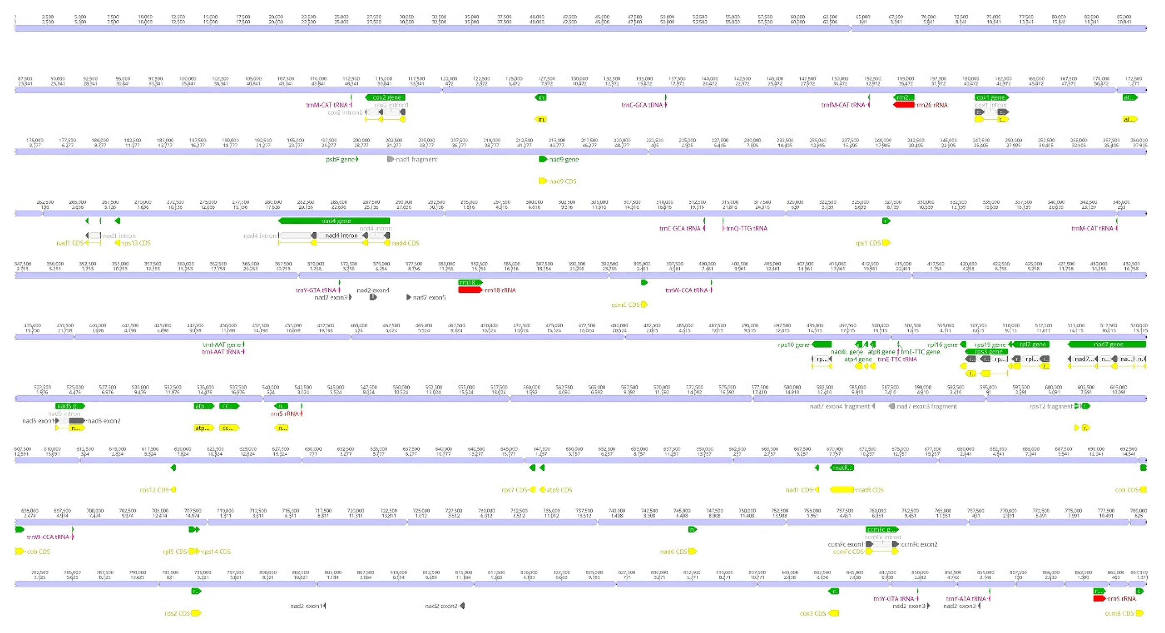 Preprints 78084 g002