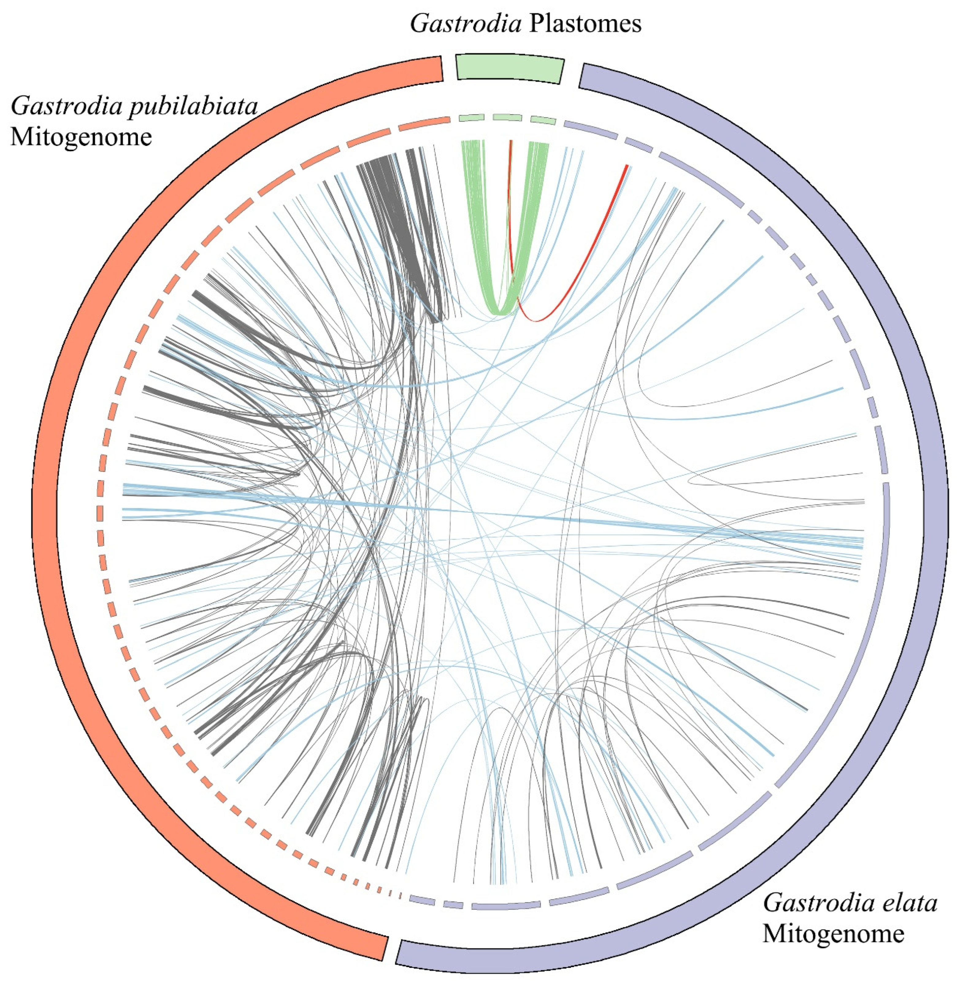 Preprints 78084 g003