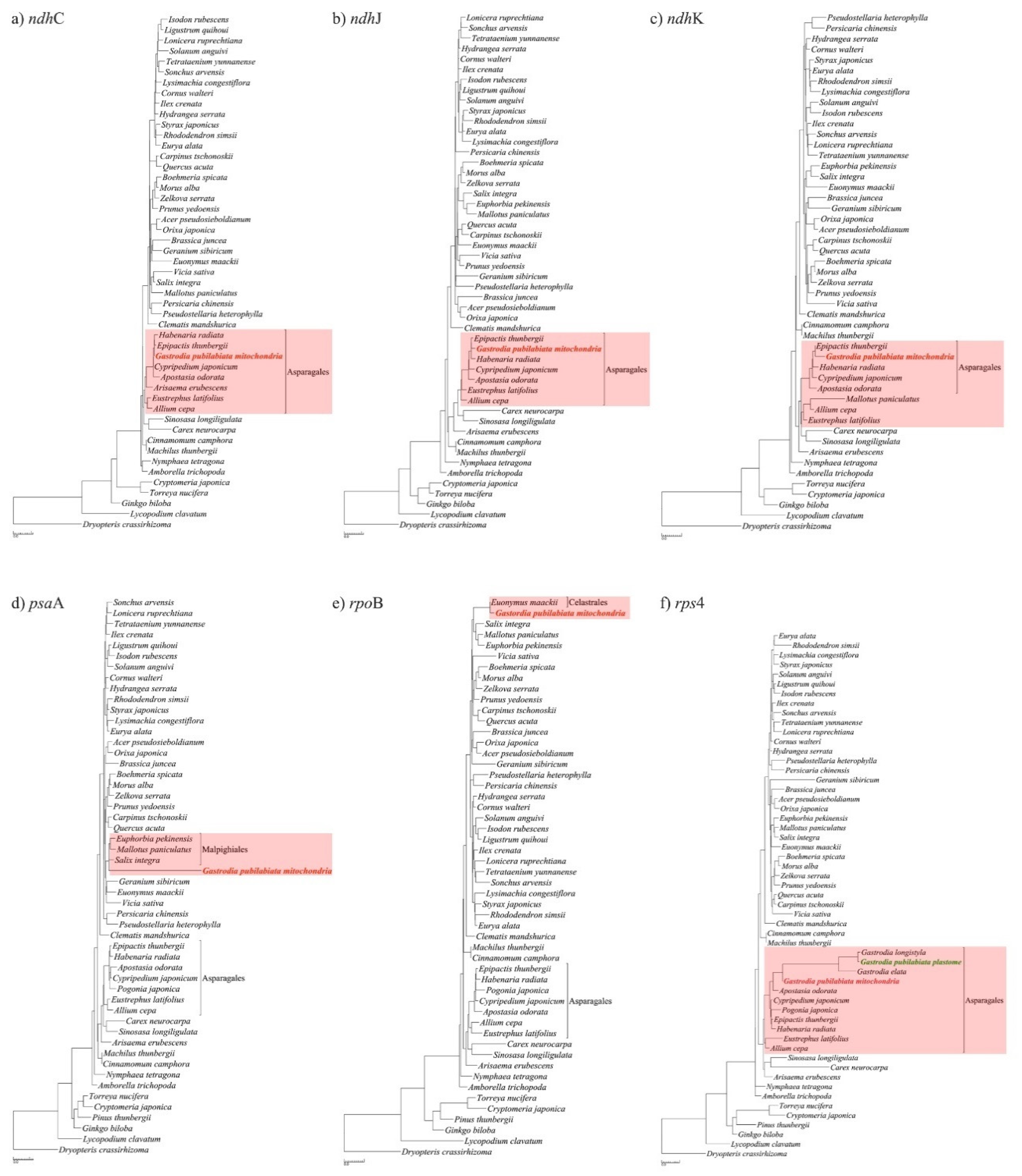 Preprints 78084 g004