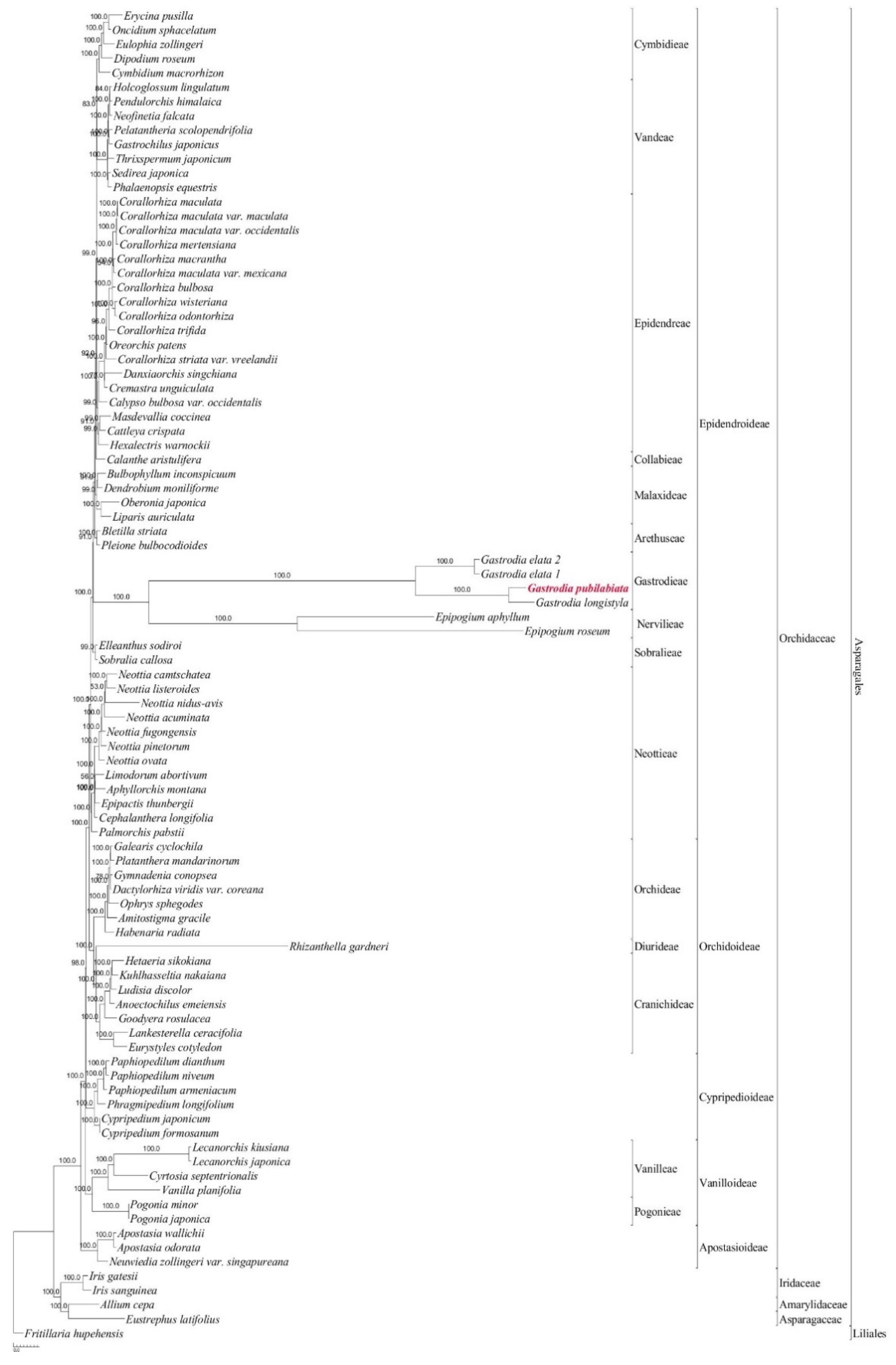 Preprints 78084 g005