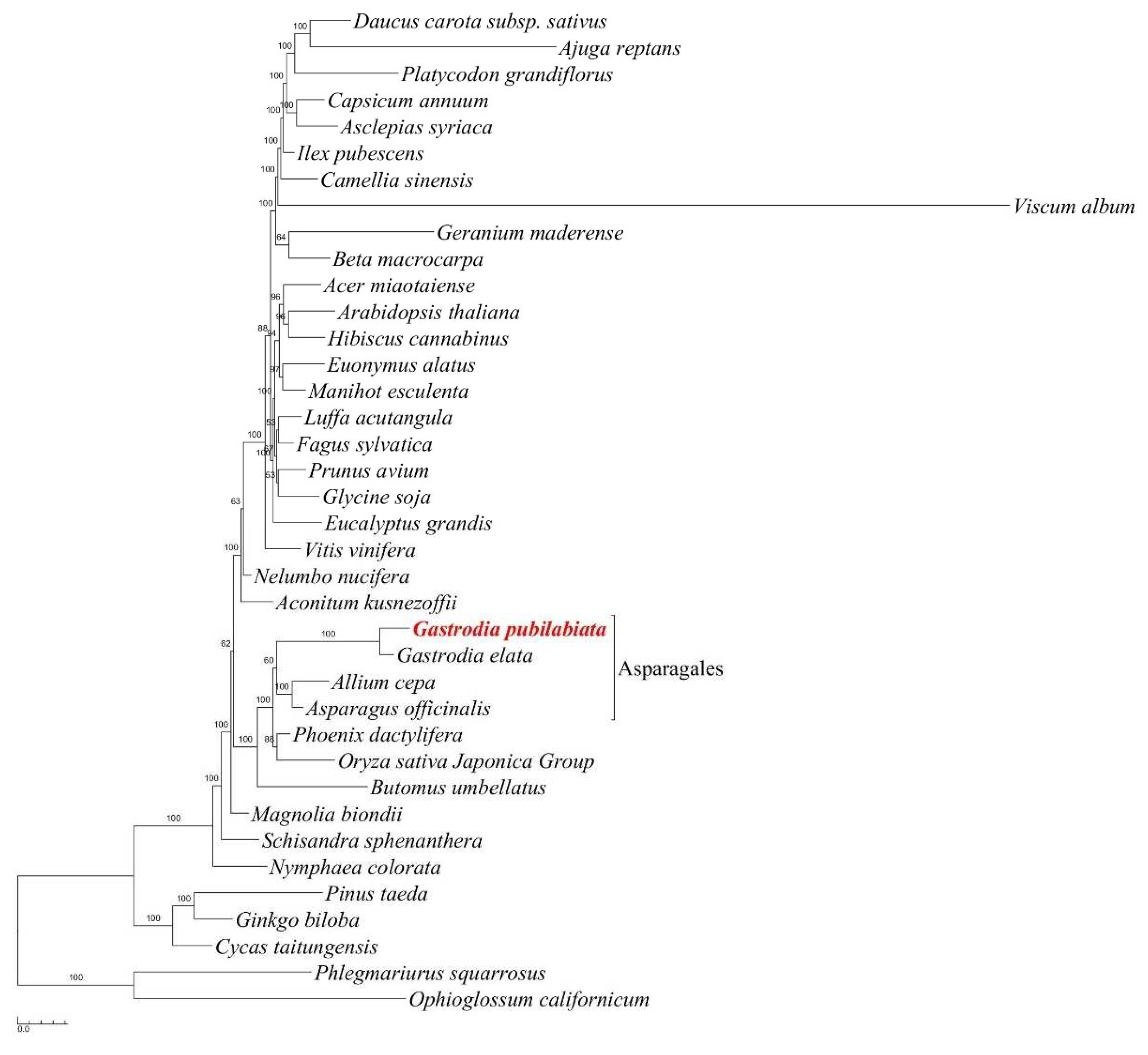 Preprints 78084 g006