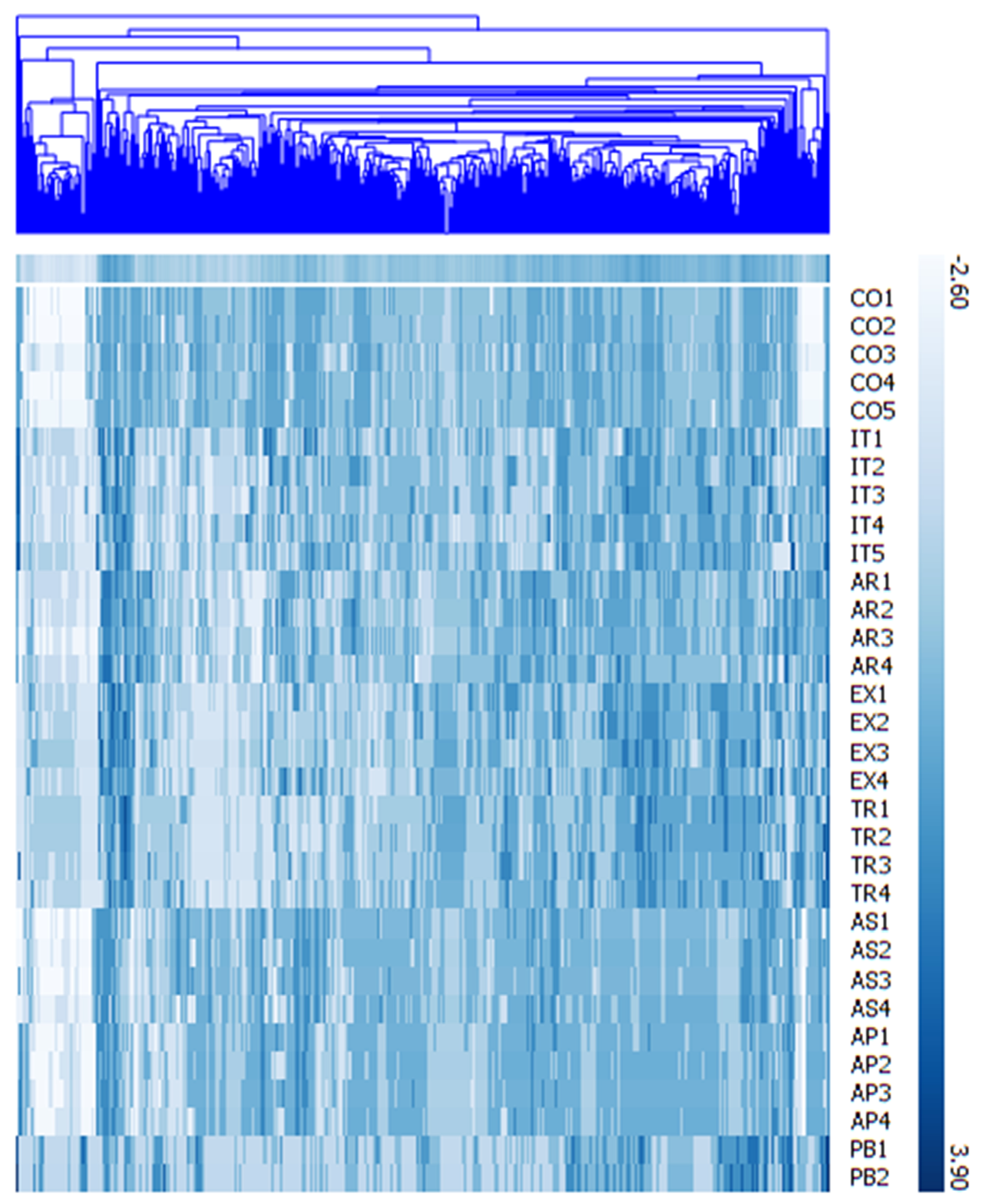 Preprints 106660 g002