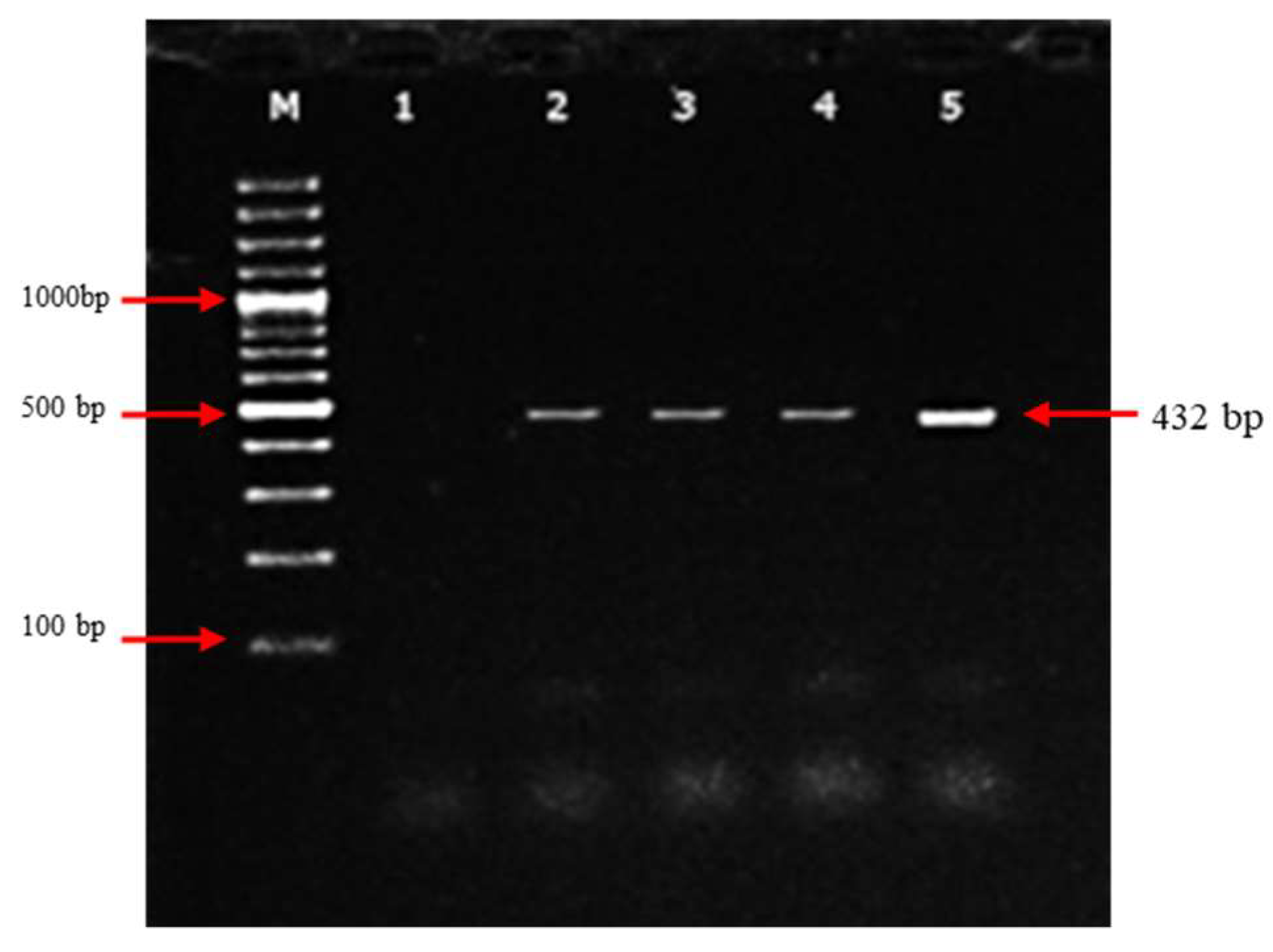 Preprints 83108 g003