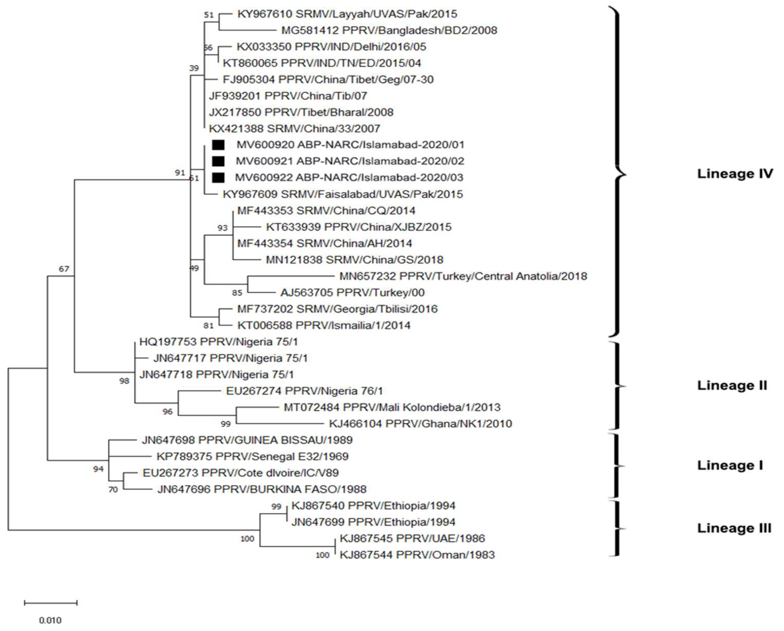 Preprints 83108 g004