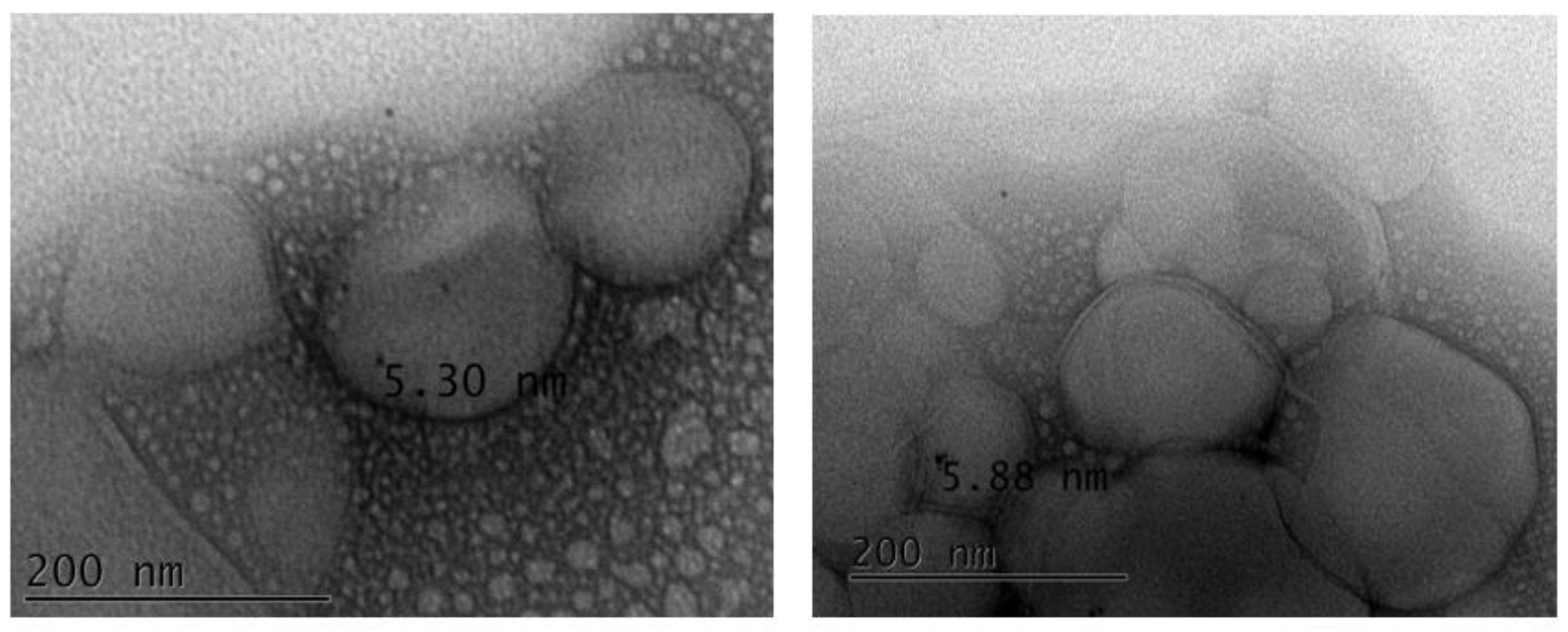 Preprints 74642 g009