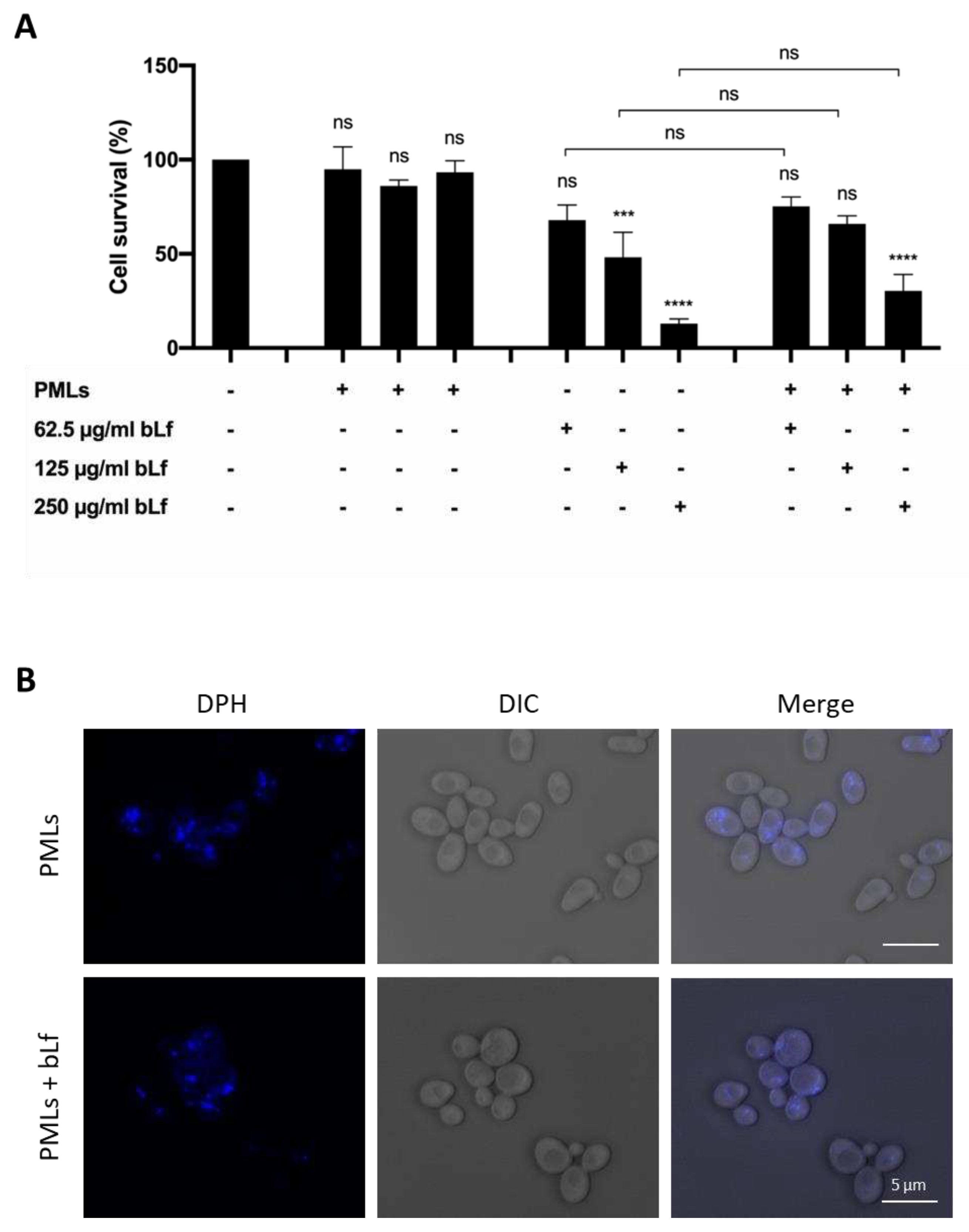 Preprints 74642 g012