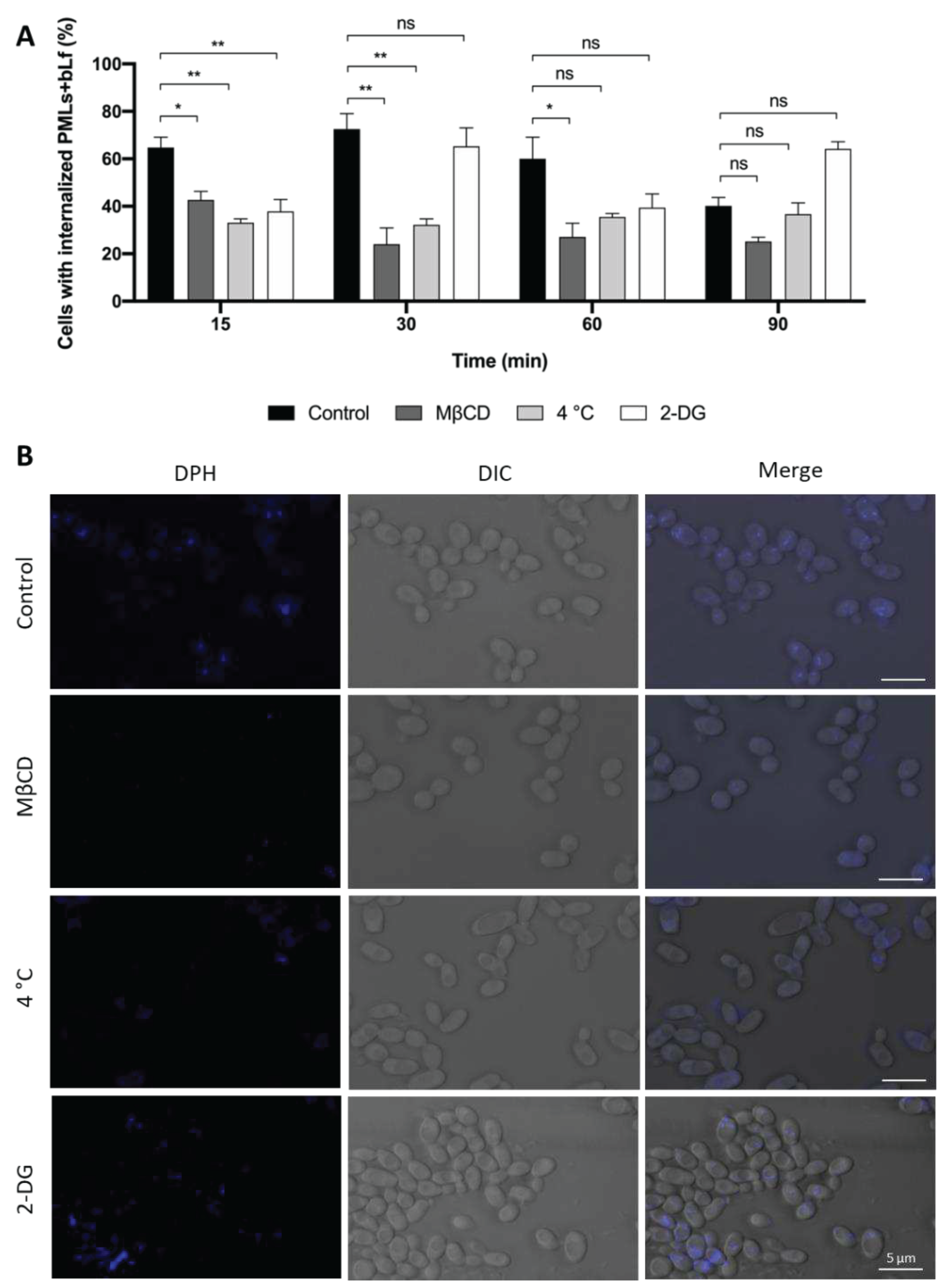 Preprints 74642 g014