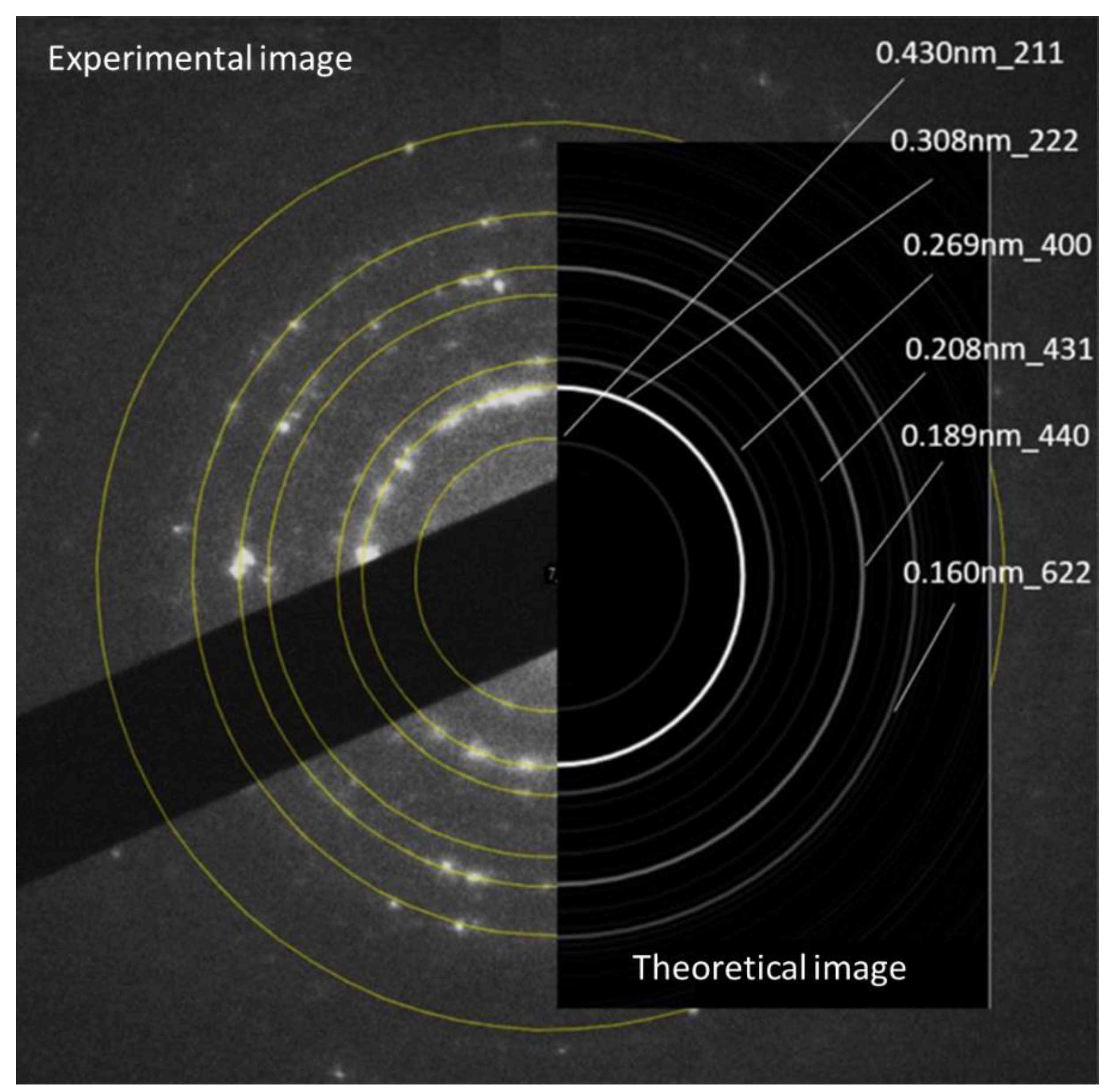 Preprints 75159 g005