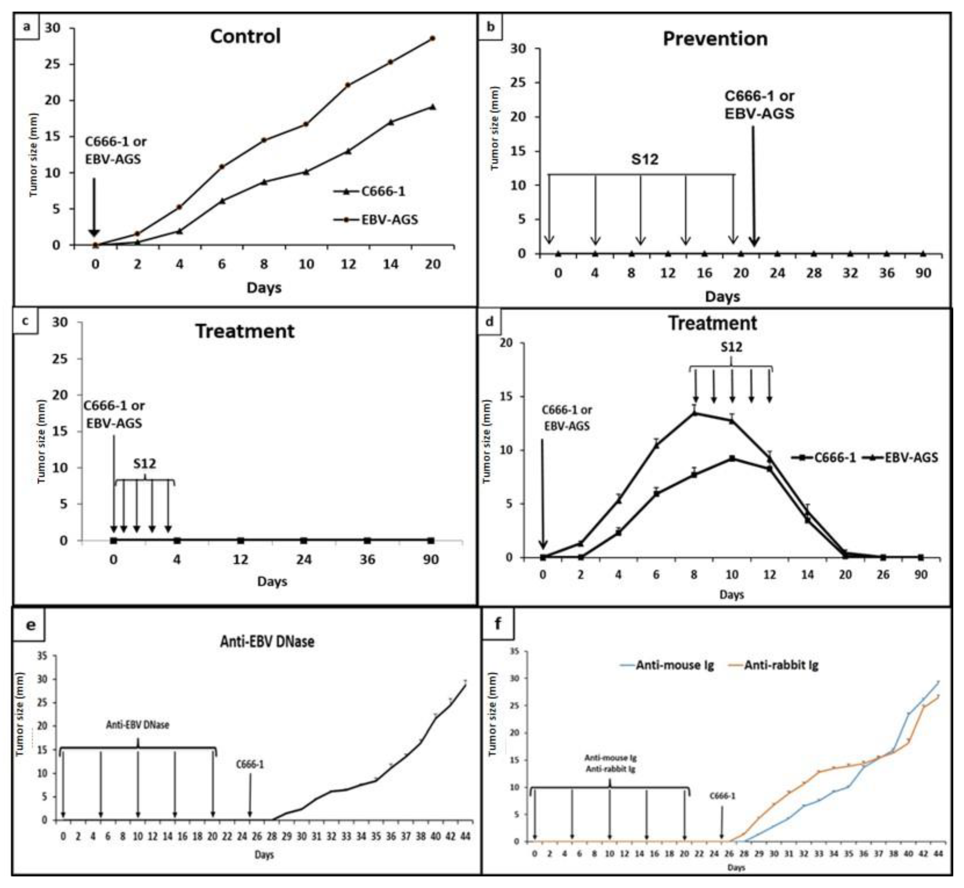 Preprints 75276 g001