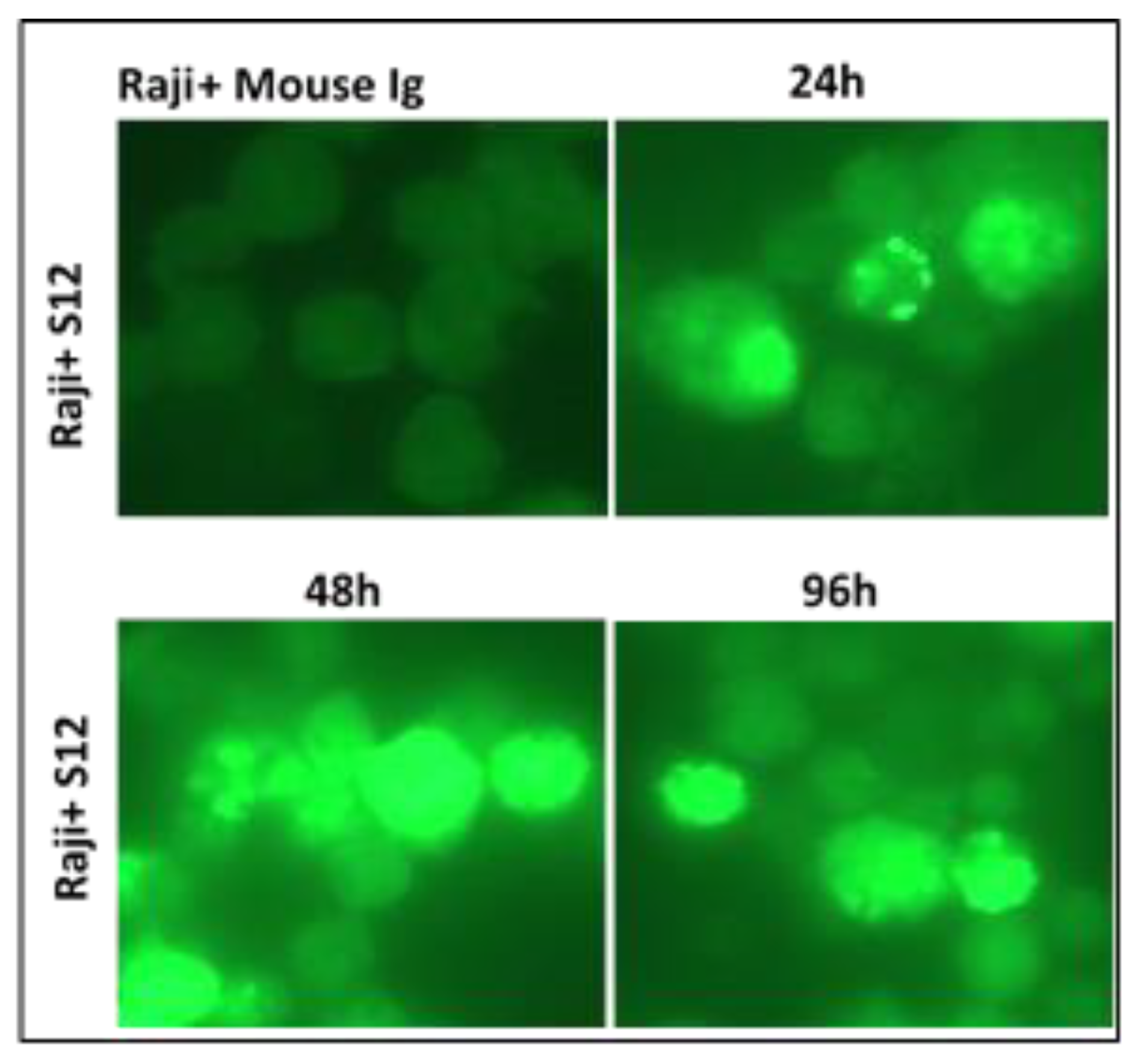 Preprints 75276 g008