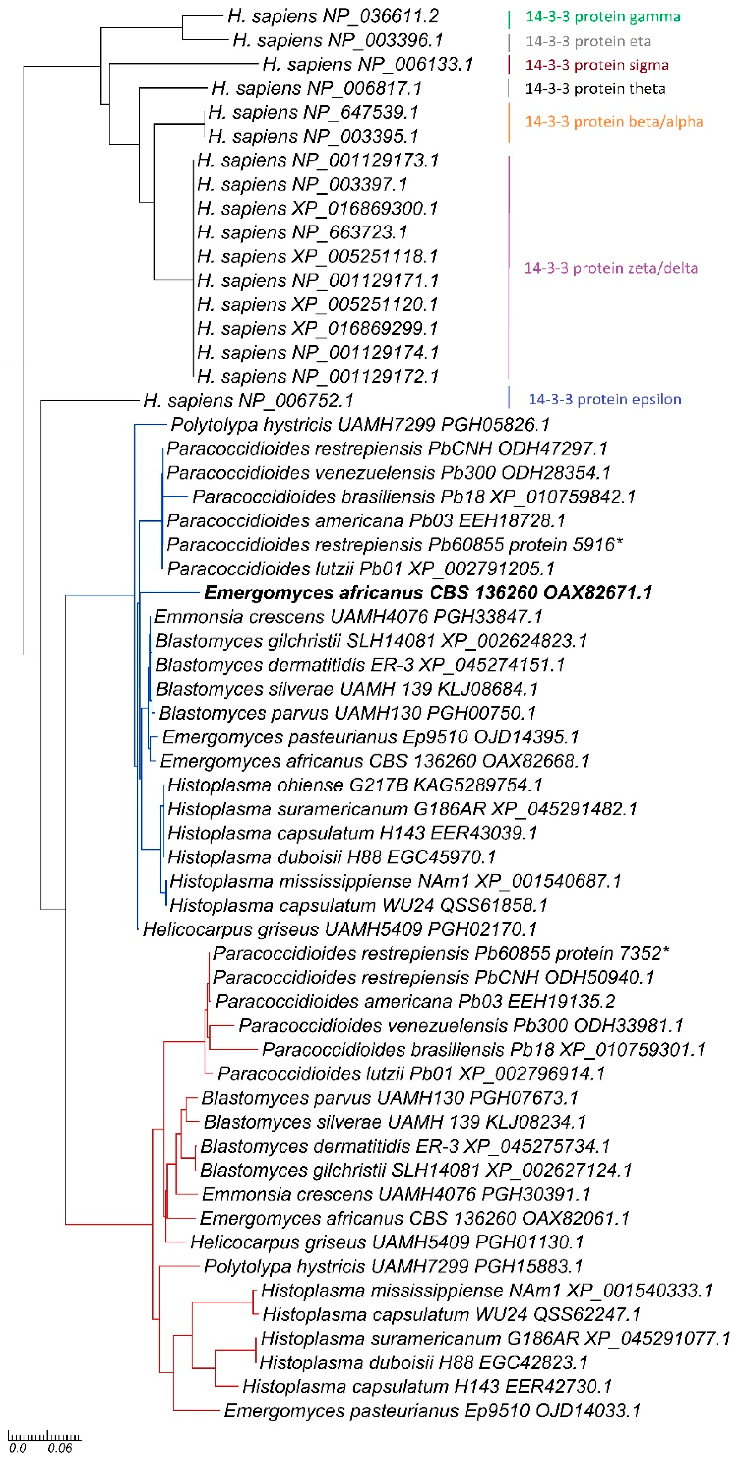 Preprints 119602 g001