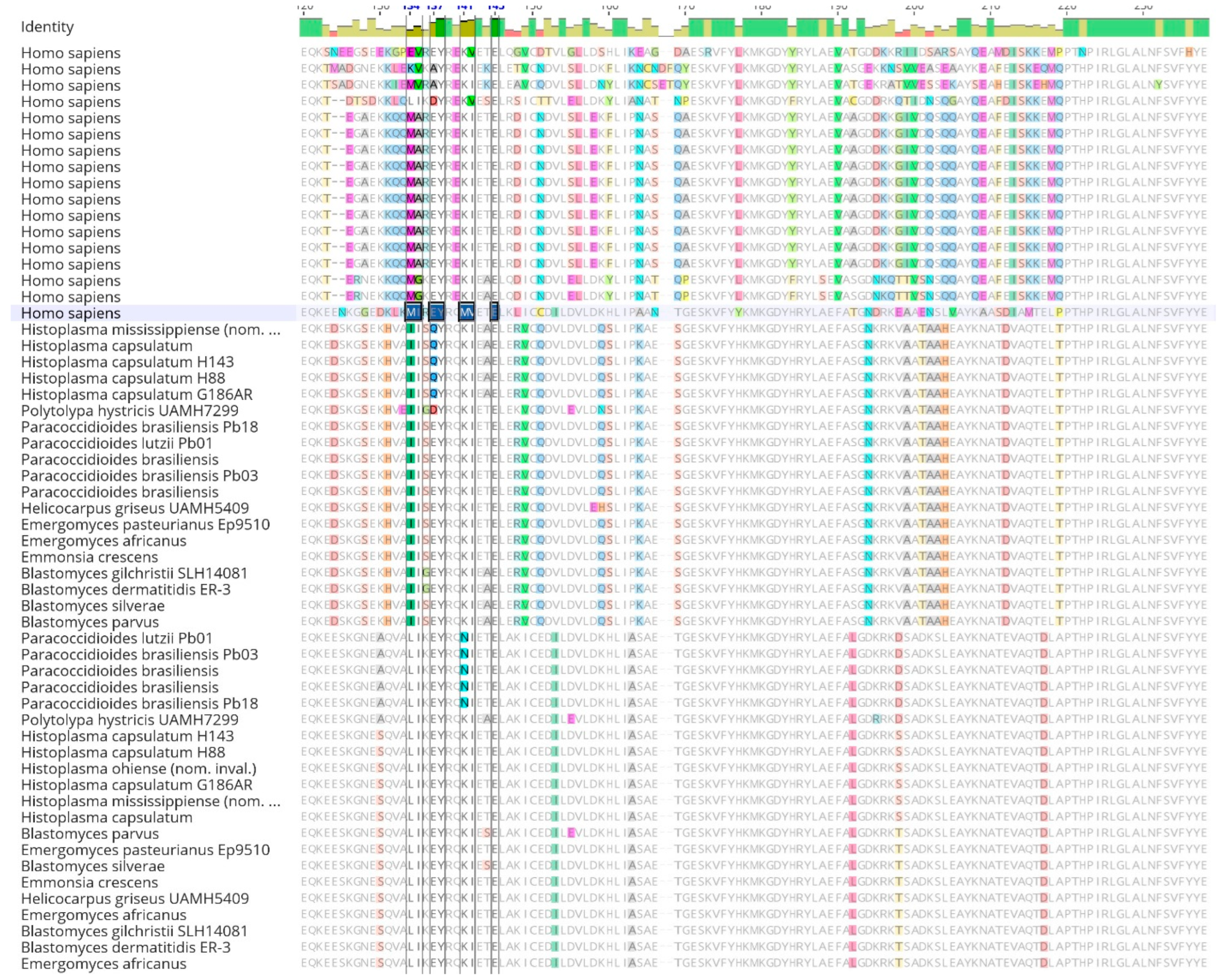 Preprints 119602 g003