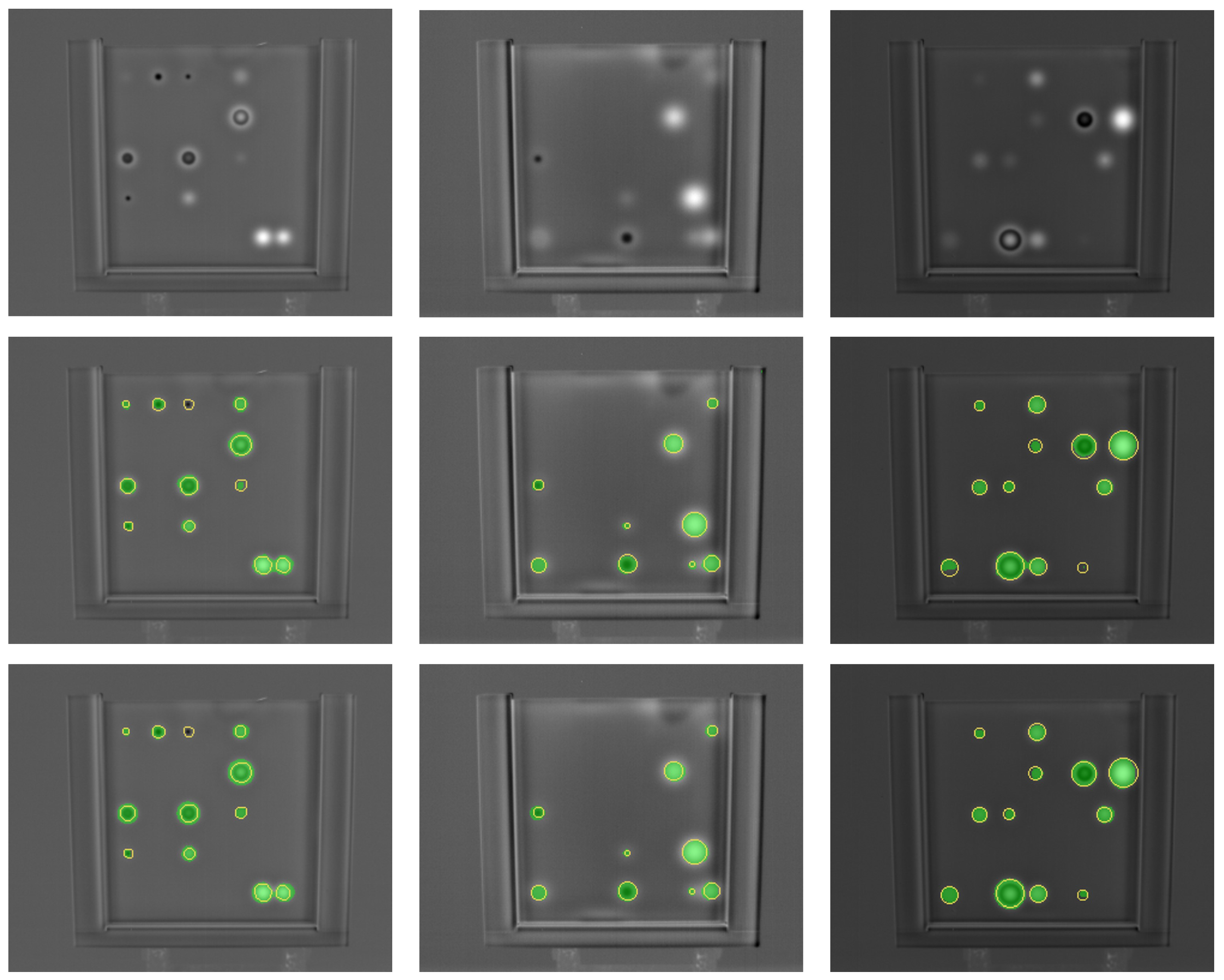 Preprints 67863 g010