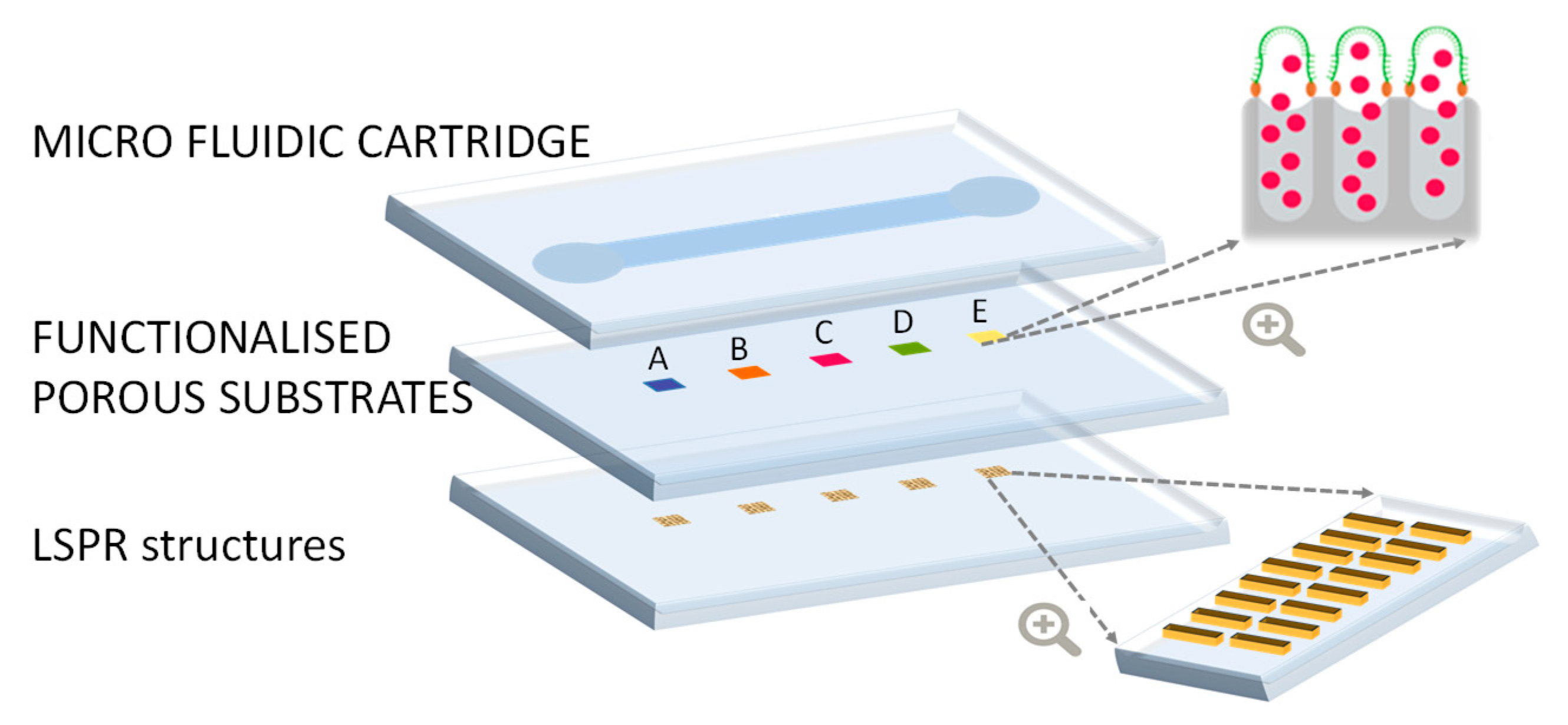 Preprints 85709 g002