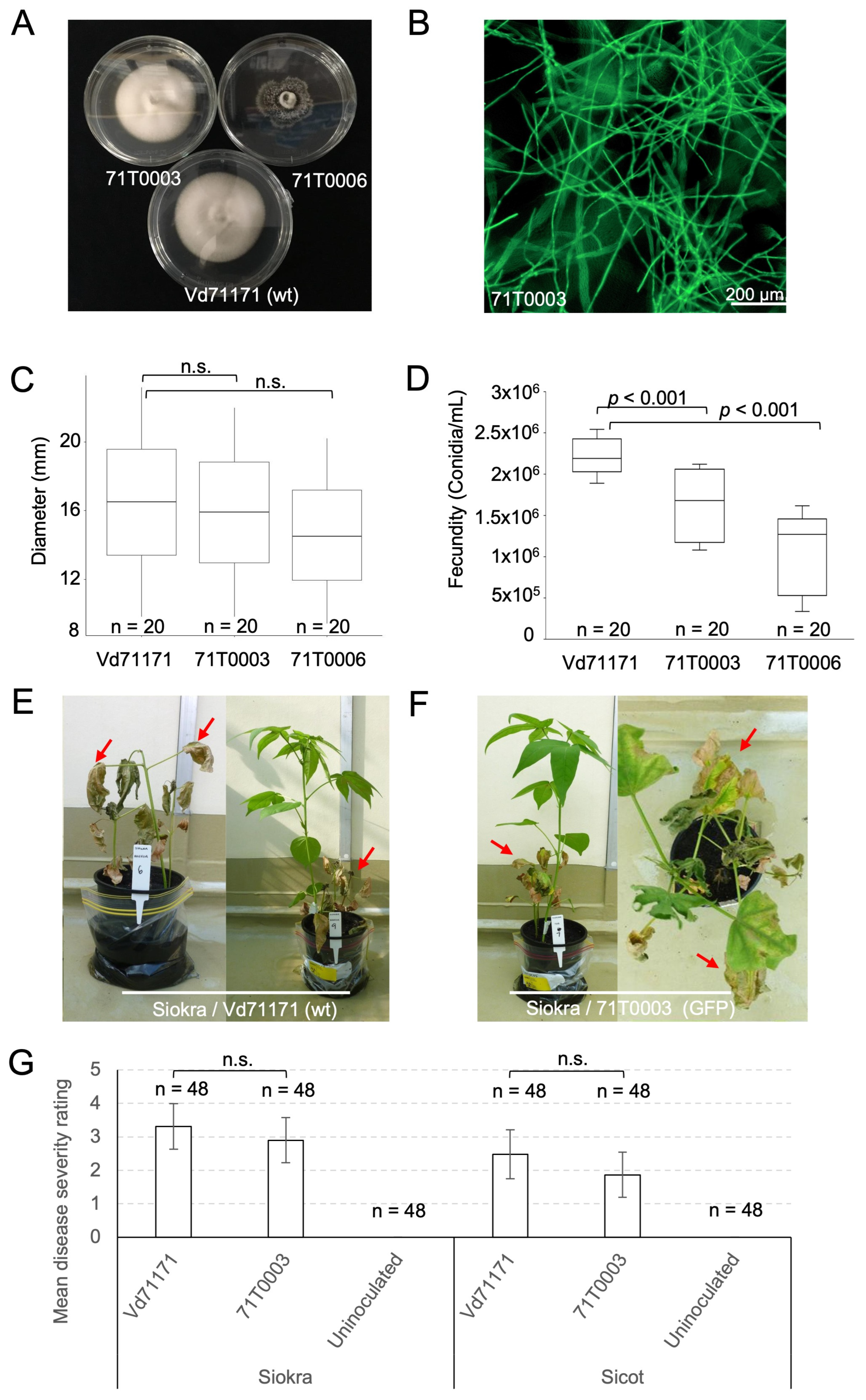 Preprints 100301 g001