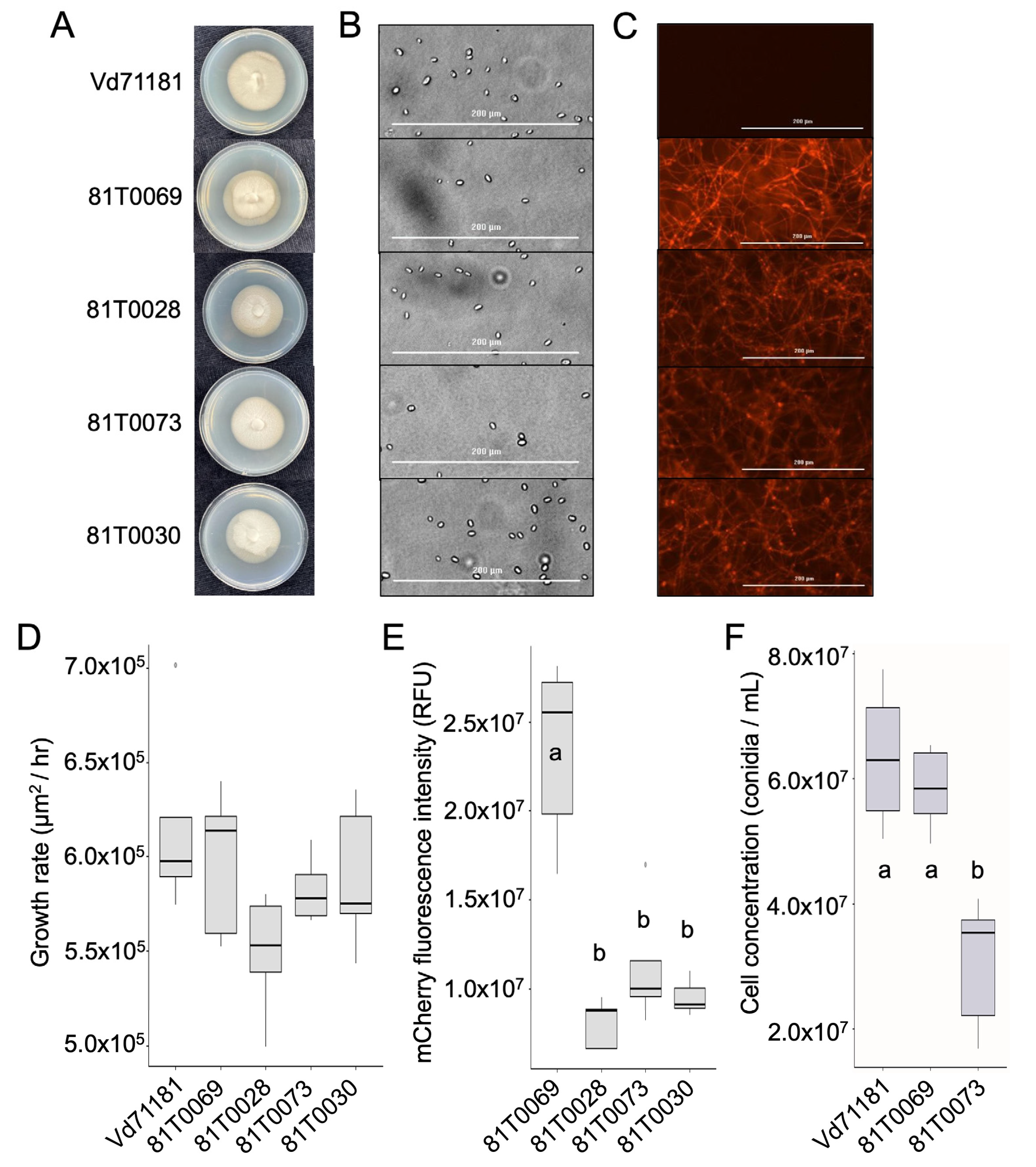 Preprints 100301 g003