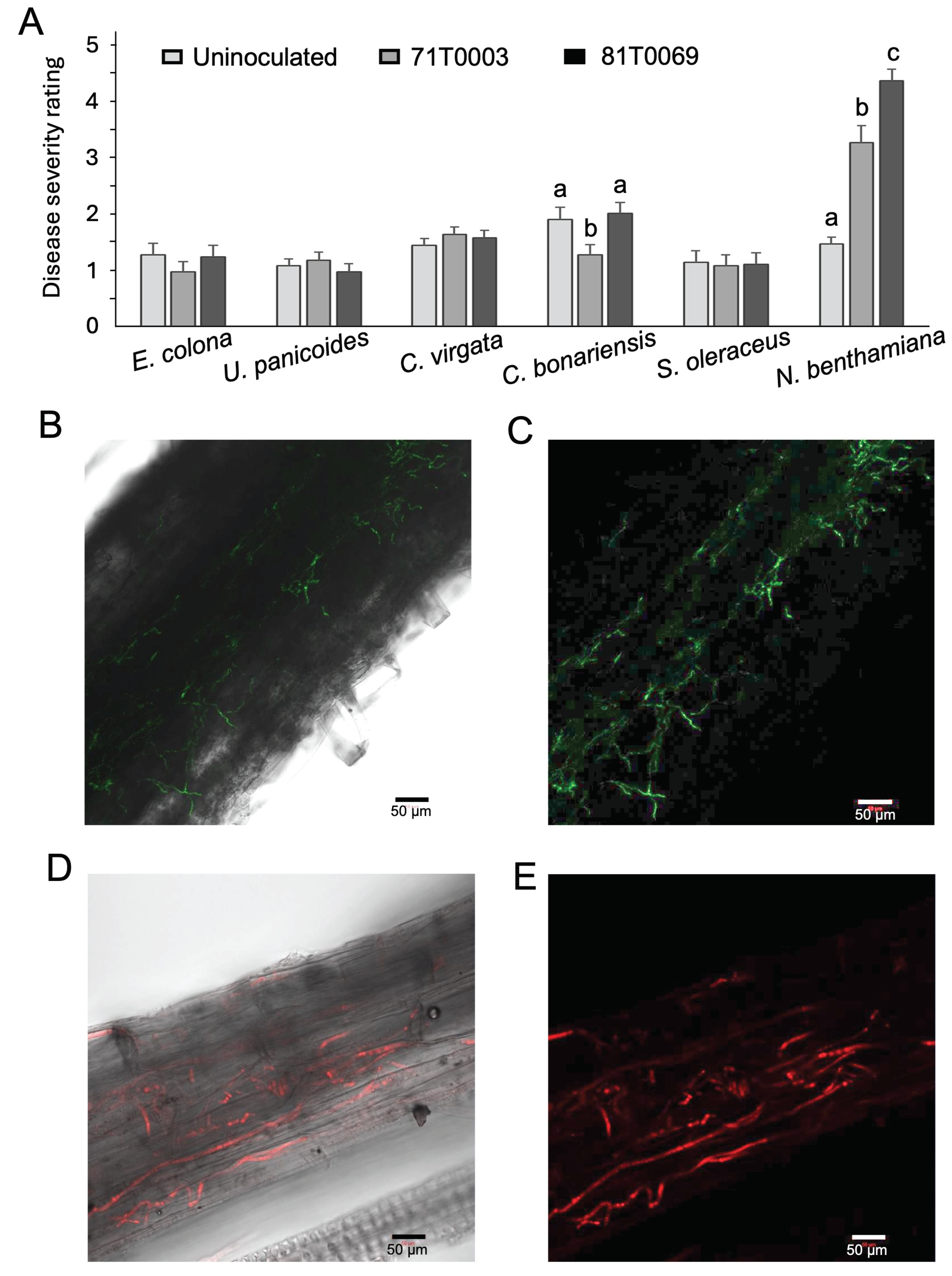 Preprints 100301 g008