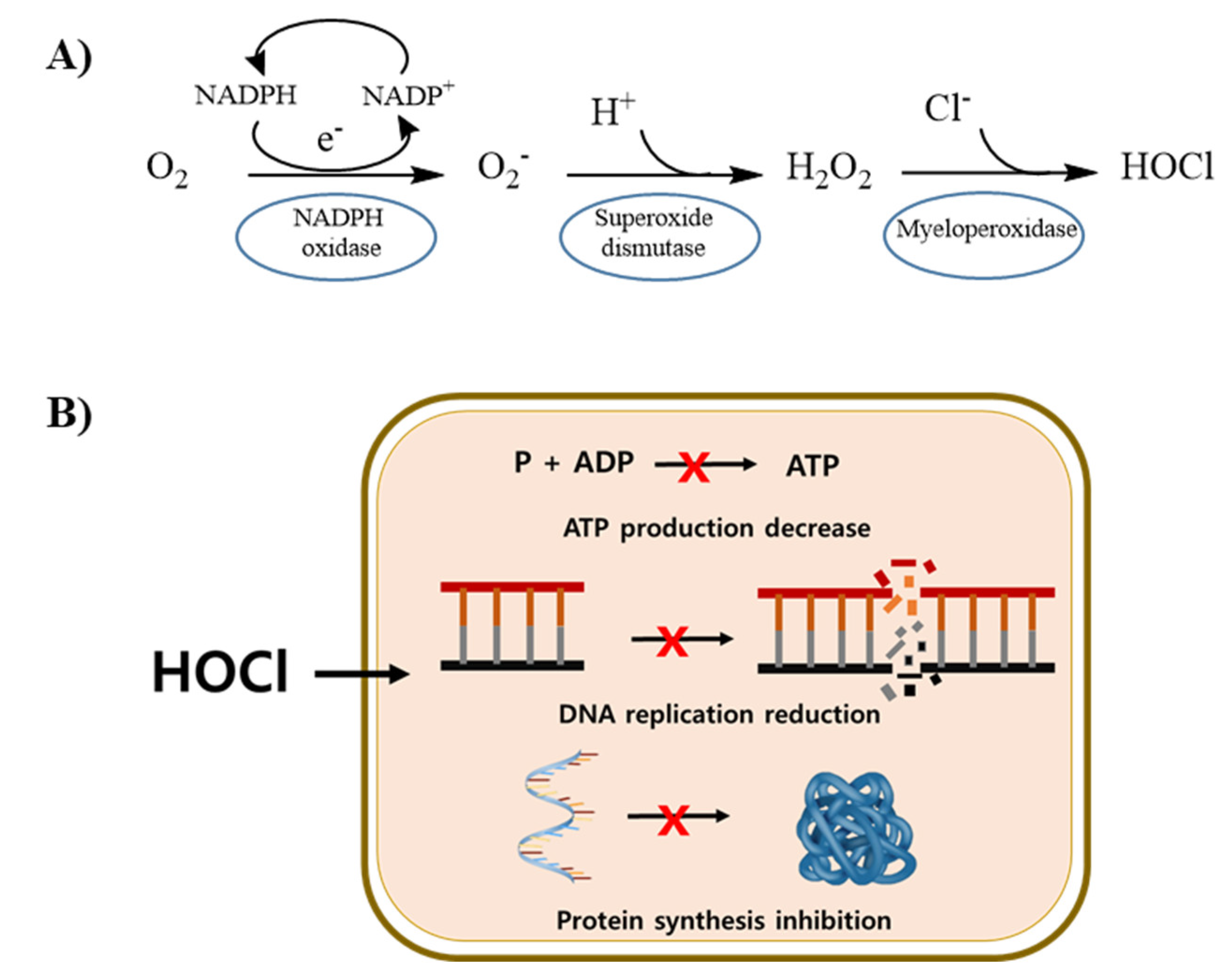 Preprints 88791 g005