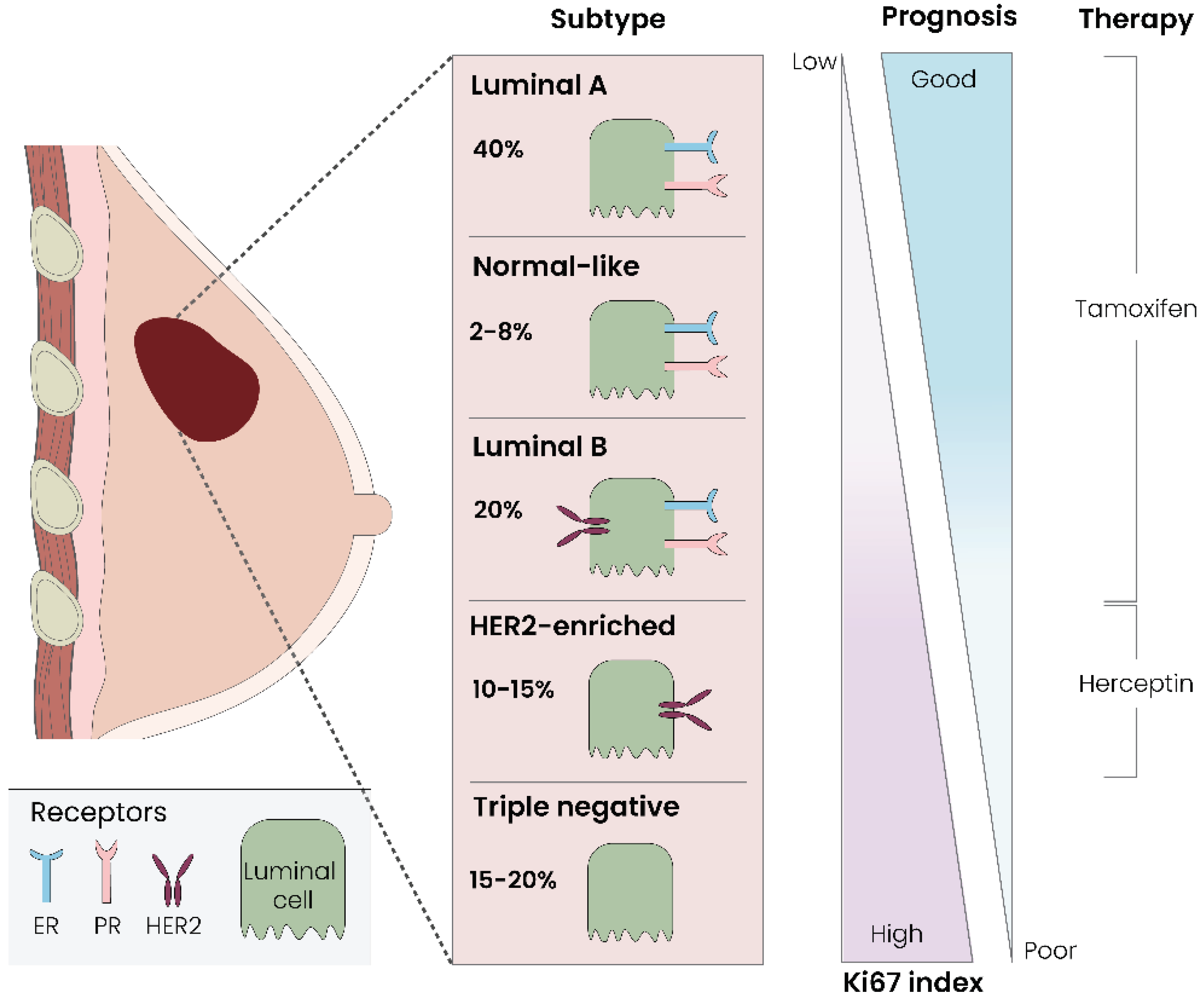 Preprints 100757 g002