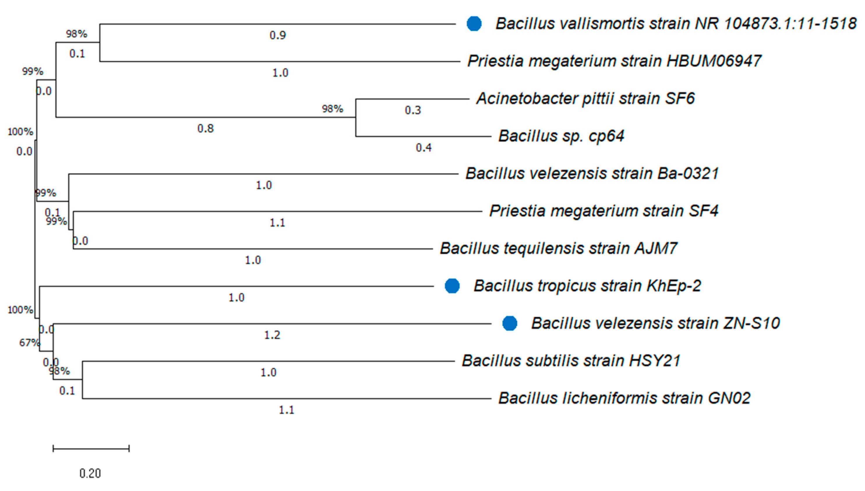 Preprints 112670 g003